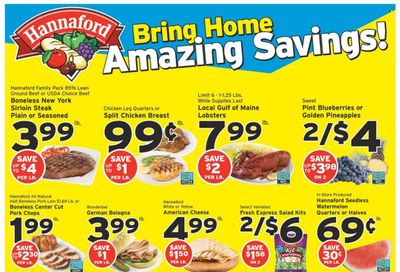 Hannaford (NY) Weekly Ad Flyer July 17 to July 24