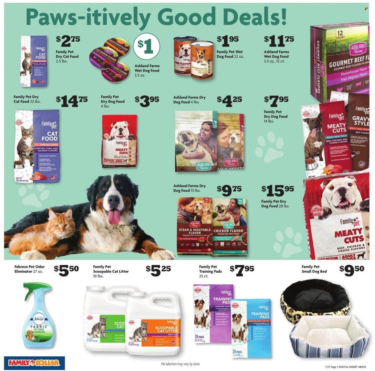Family Dollar Weekly Ad Flyer July 17 to July 24