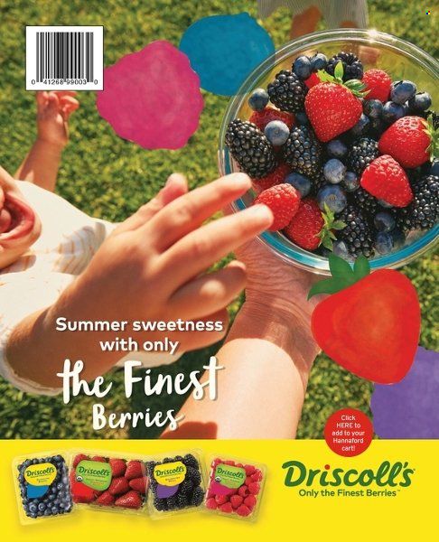 Hannaford (MA, ME, NH, NY, VT) Weekly Ad Flyer Specials July 1 to August 31, 2022