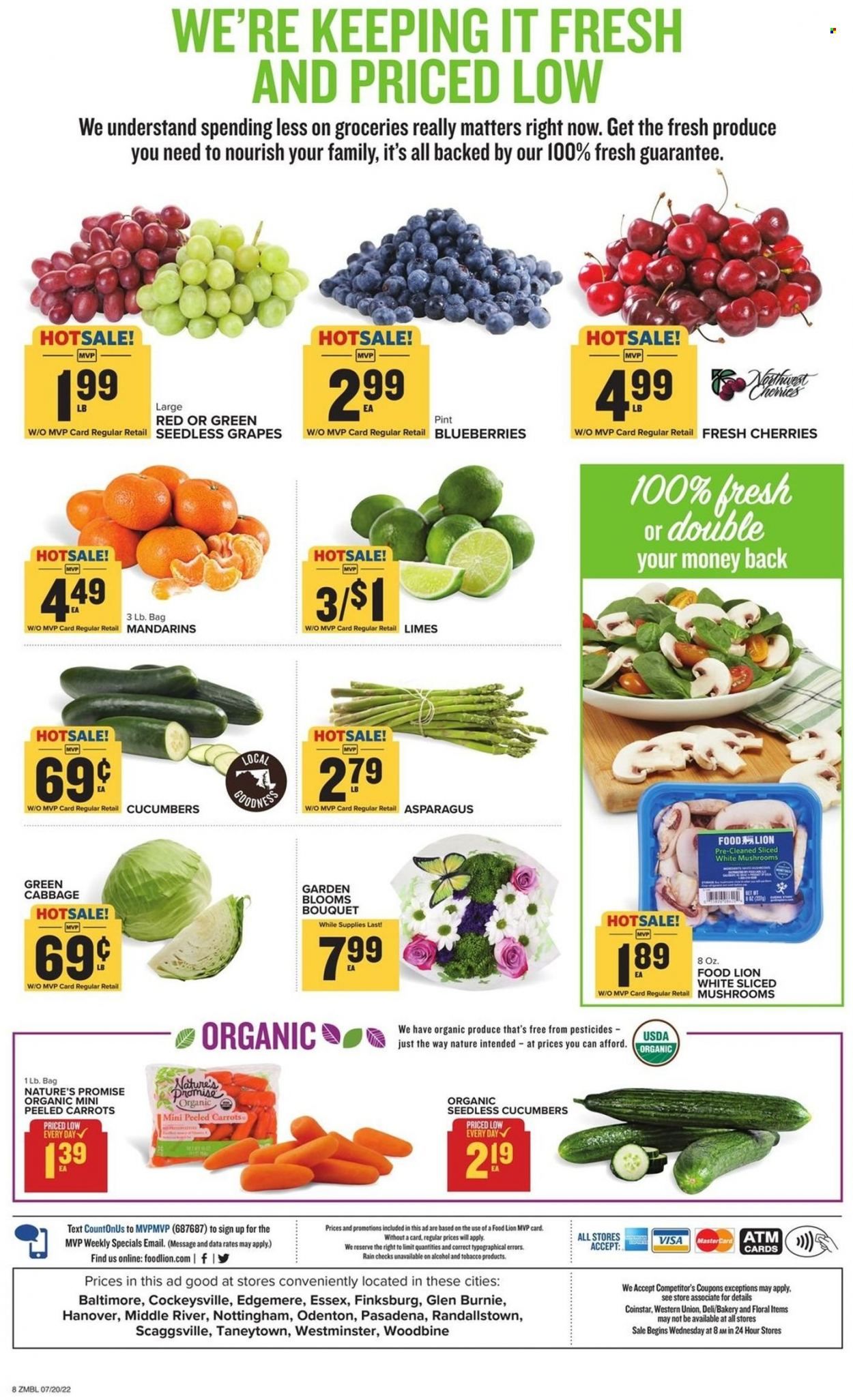 Food Lion (MD) Weekly Ad Flyer July 20 to July 27
