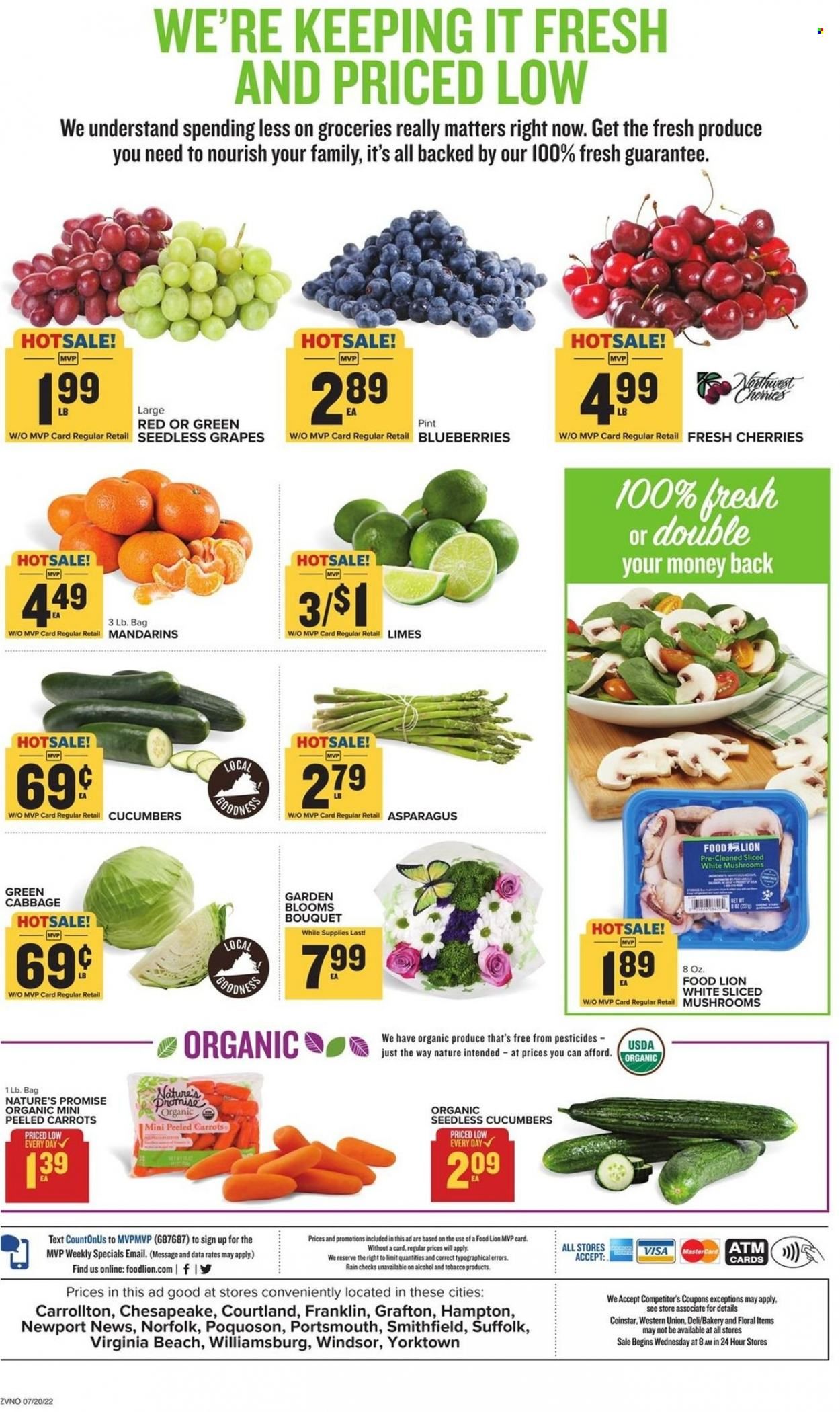Food Lion (VA) Weekly Ad Flyer July 20 to July 27