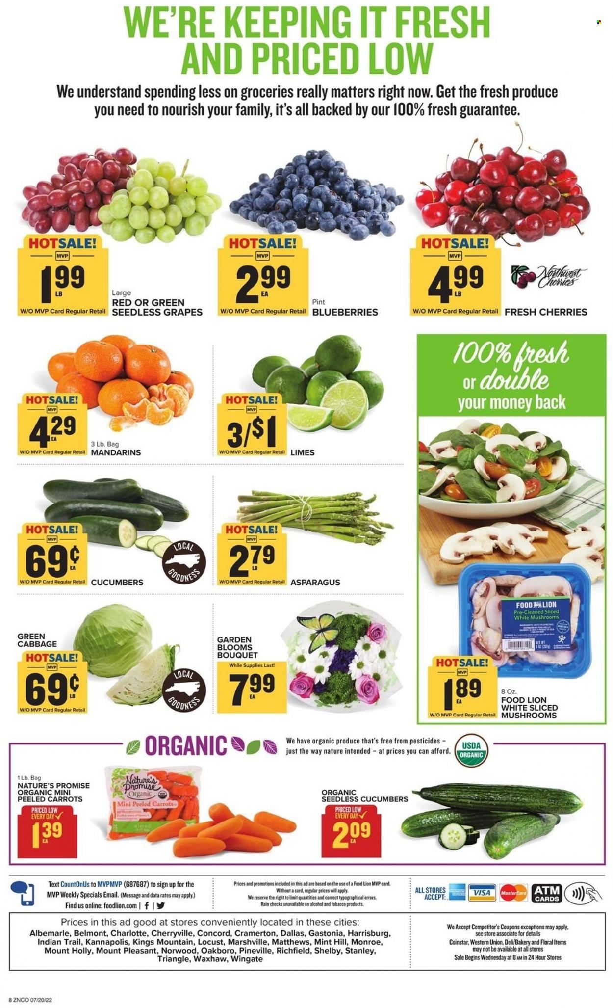 Food Lion (NC) Weekly Ad Flyer July 20 to July 27