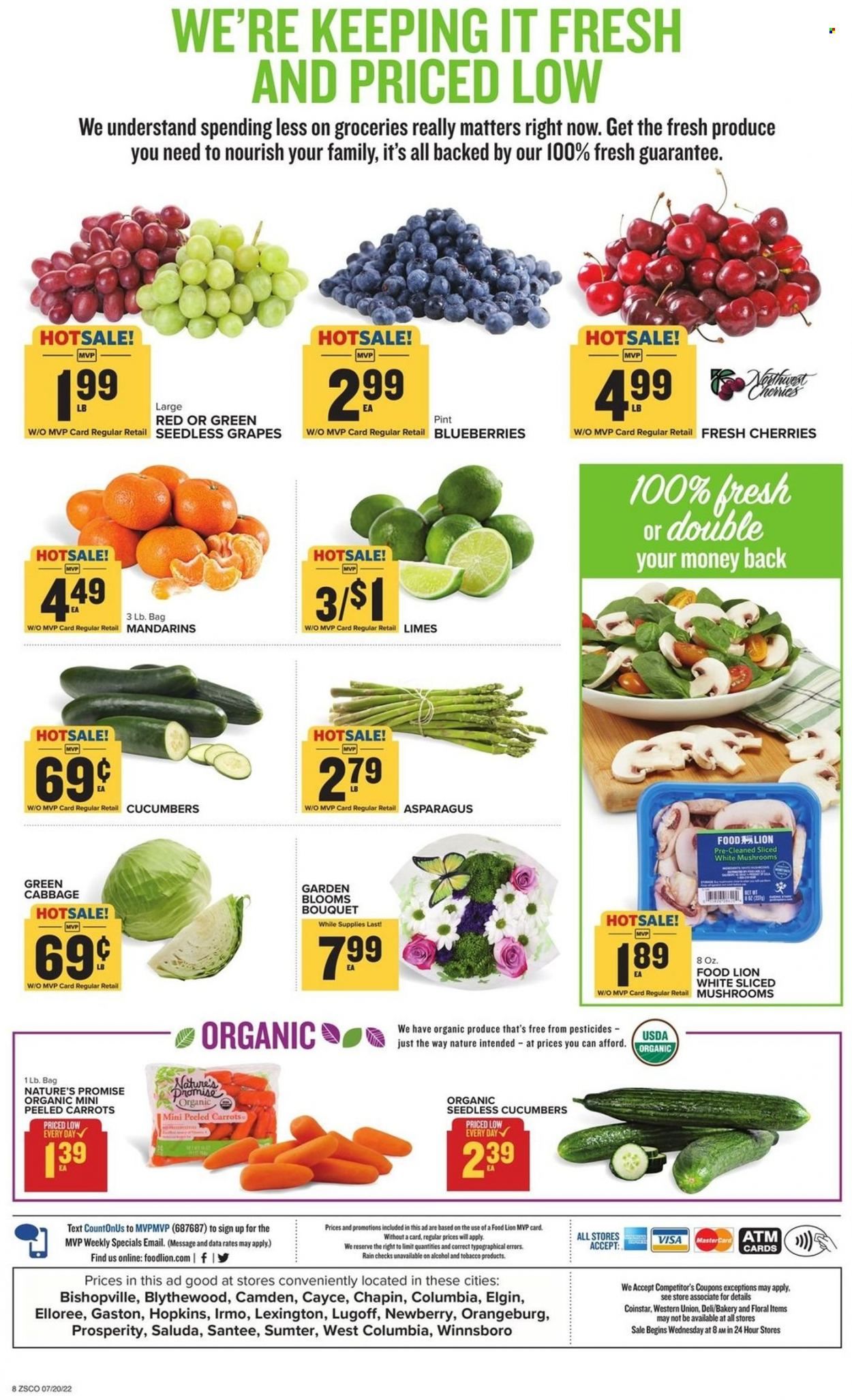 Food Lion (SC) Weekly Ad Flyer July 20 to July 27