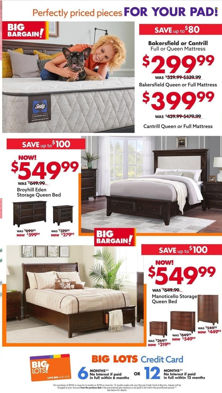 Big Lots Weekly Ad Flyer July 21 to July 28