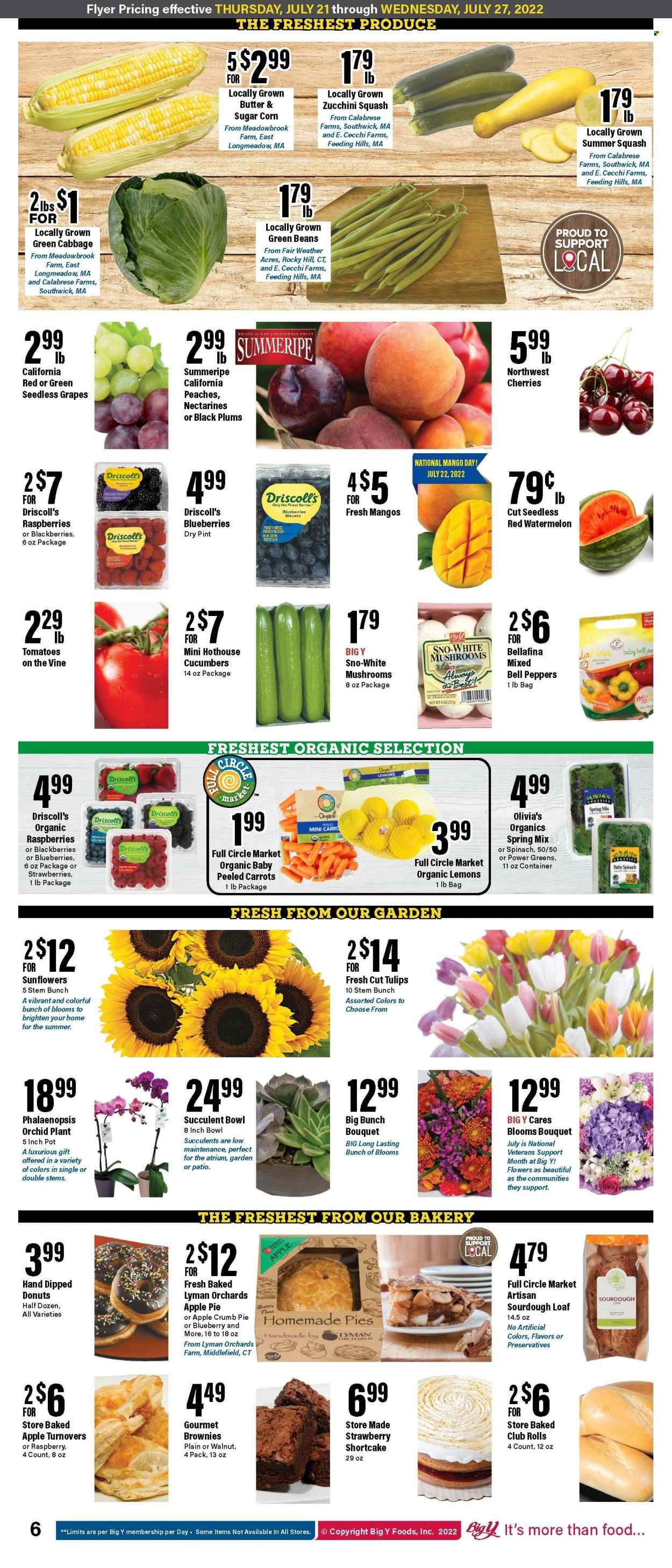 Big Y (CT) Weekly Ad Flyer July 21 to July 28