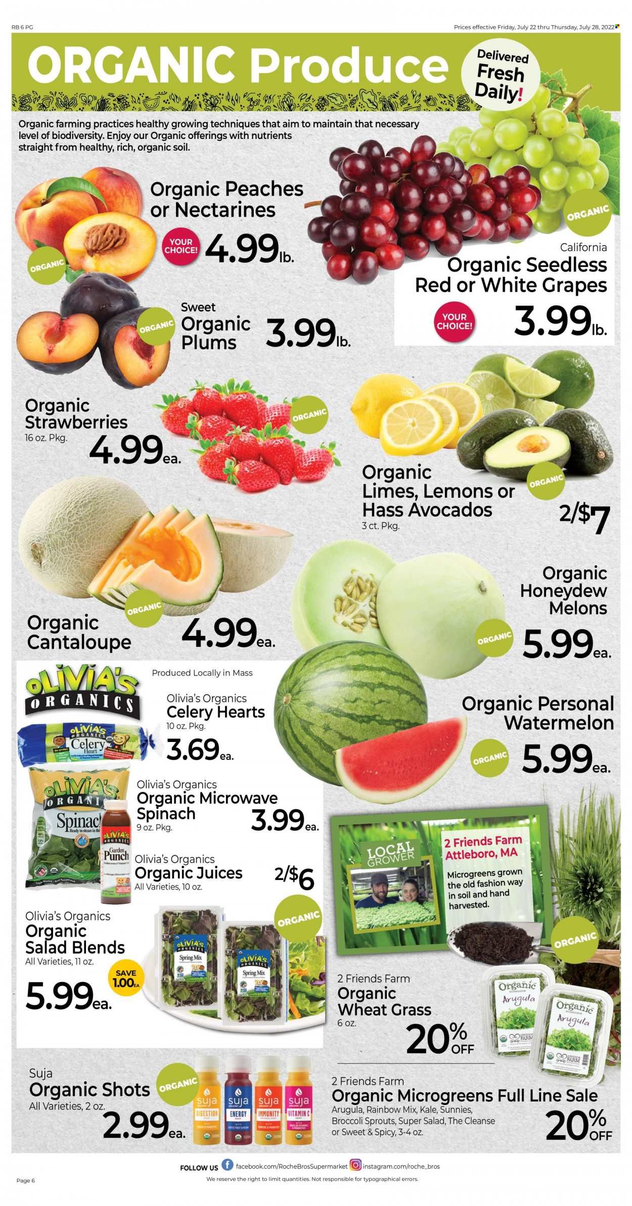 Roche Bros. (MA) Weekly Ad Flyer July 21 to July 28