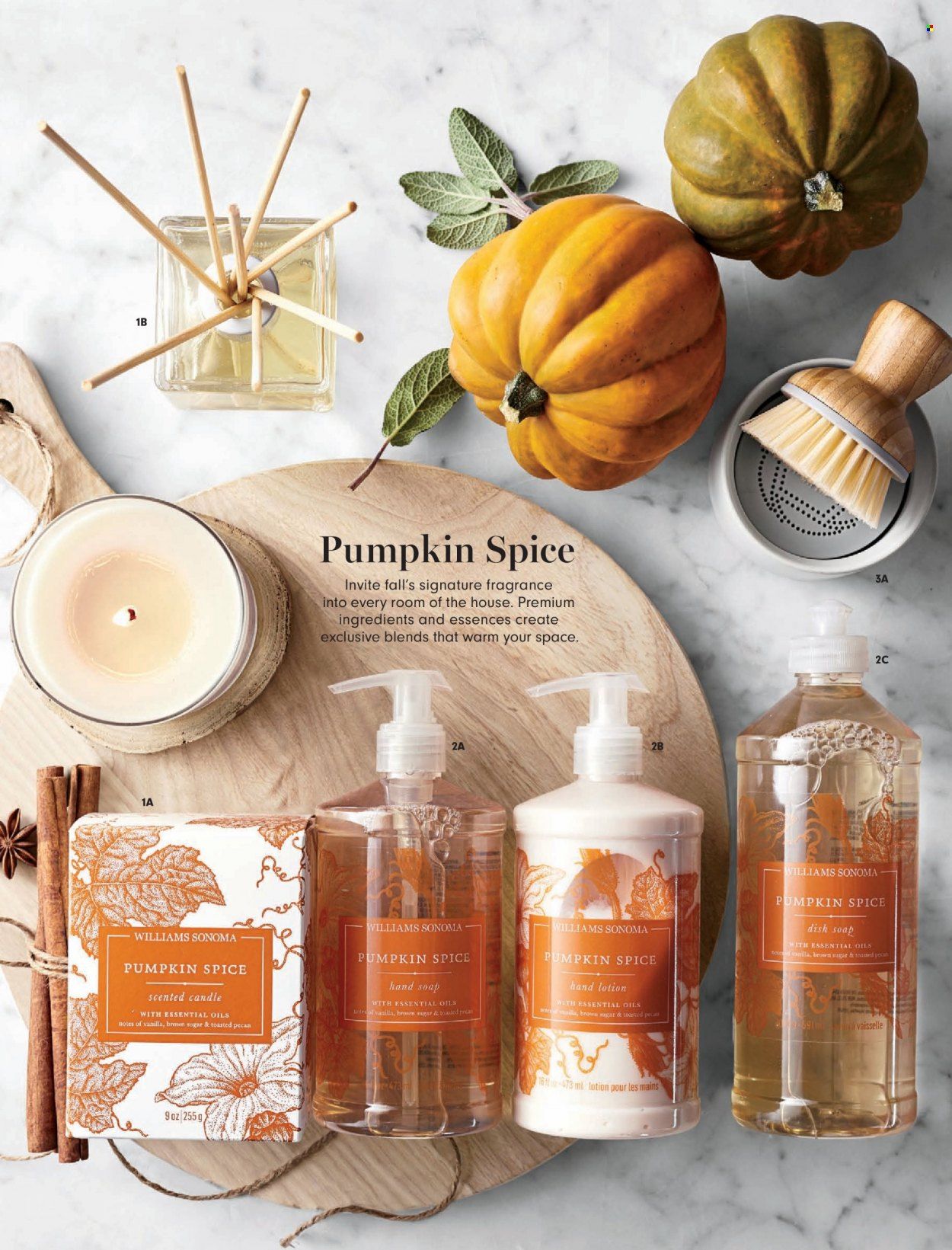 Williams-Sonoma Promotions & Flyer Specials September 2022