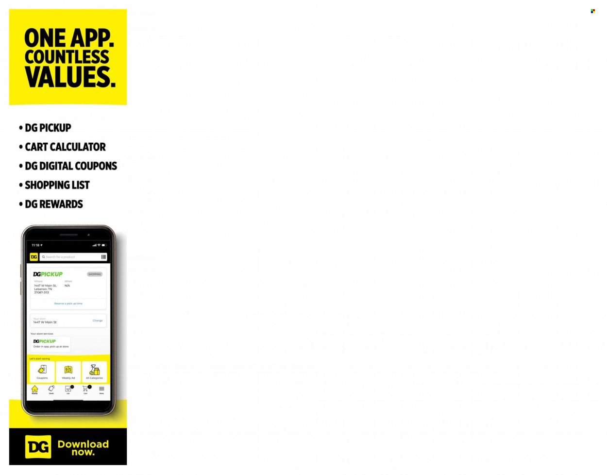 Dollar General (FL) Weekly Ad Flyer July 25 to August 1