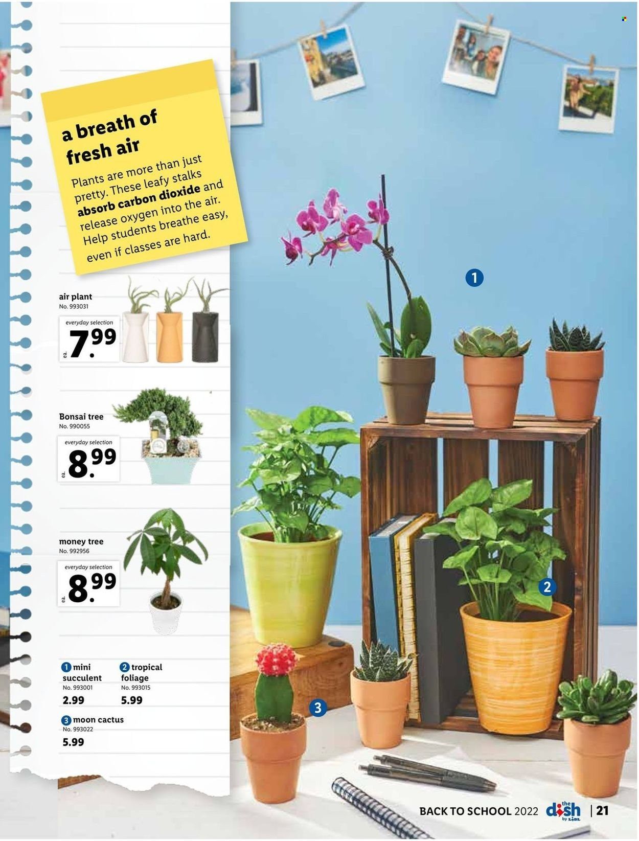 Lidl (GA, MD, NC, NJ, PA, SC, VA) Weekly Ad Flyer Specials July 27 to August 30, 2022