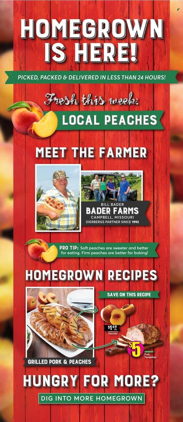 Dierbergs (IL, MO) Weekly Ad Flyer August 2 to August 9