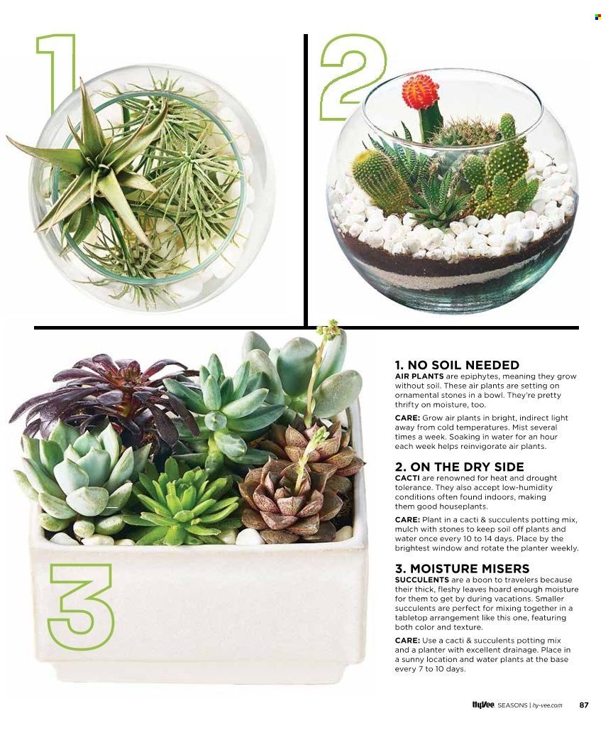 Hy-Vee (IA, IL, MN, MO, SD) Weekly Ad Flyer August 5 to August 12