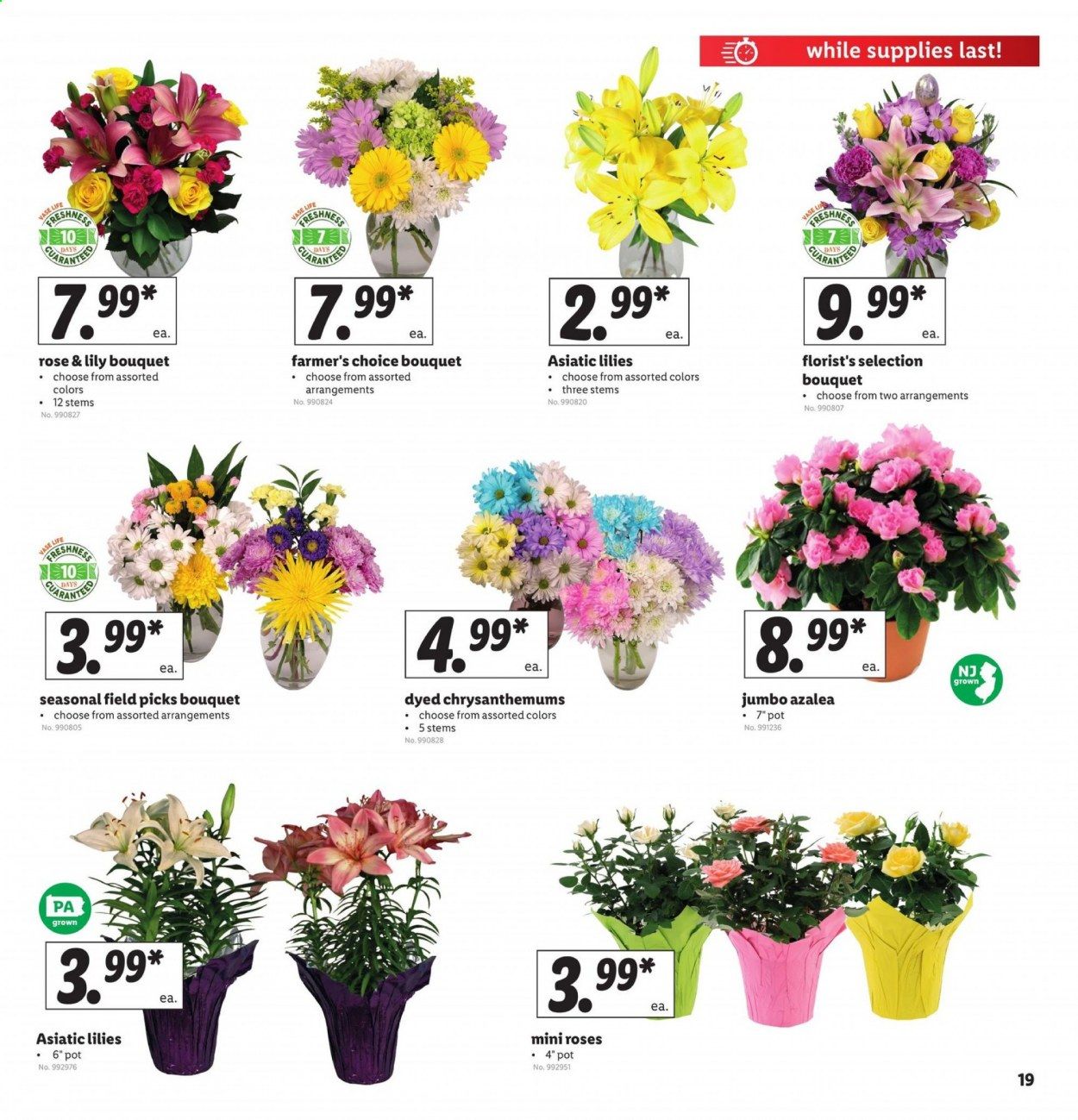 Lidl Weekly Ad & Flyer April 8 to 14