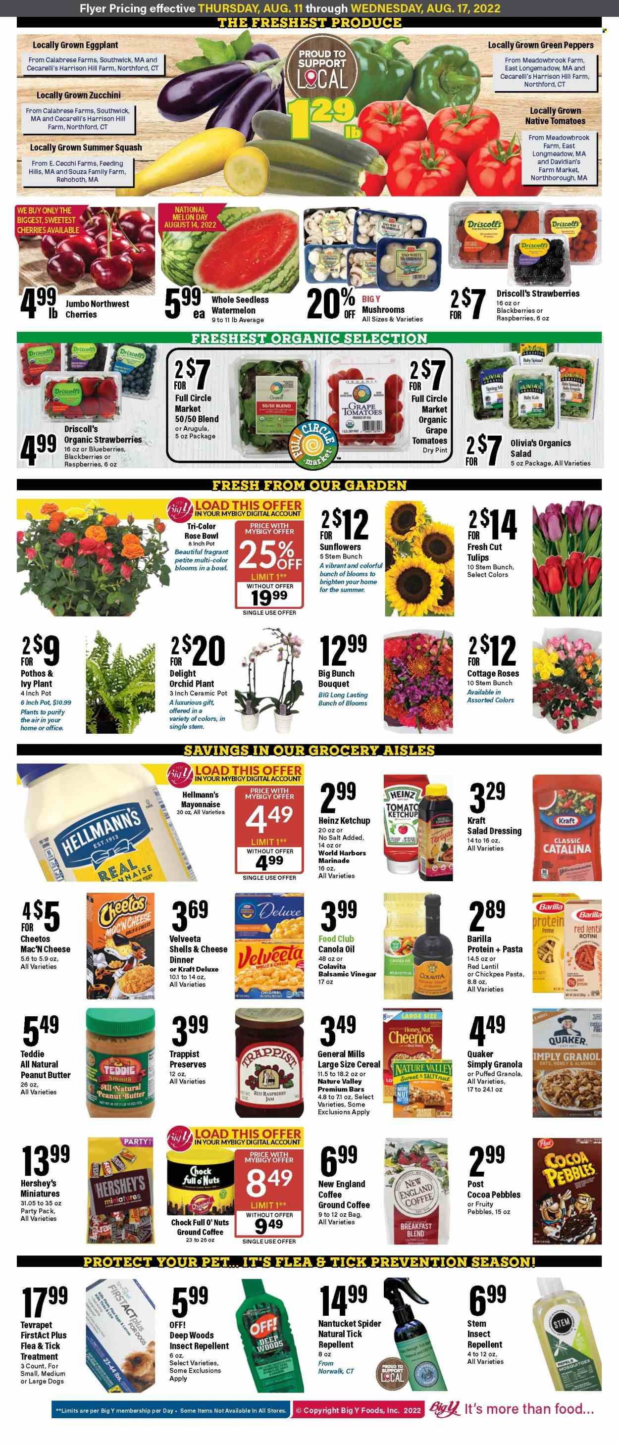 Big Y (CT) Weekly Ad Flyer Specials August 11 to August 17, 2022
