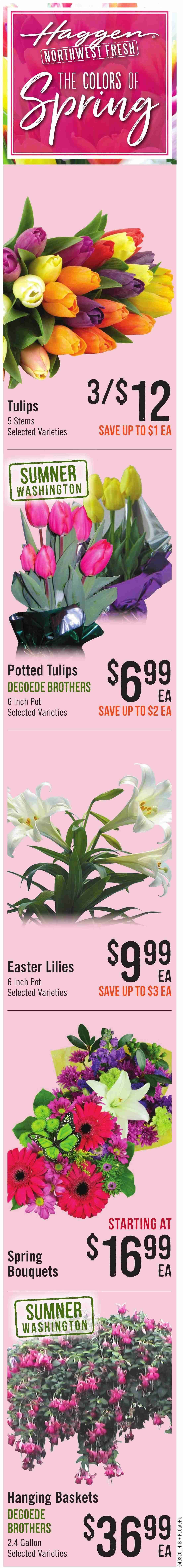 Haggen Weekly Ad & Flyer April 8 to 14