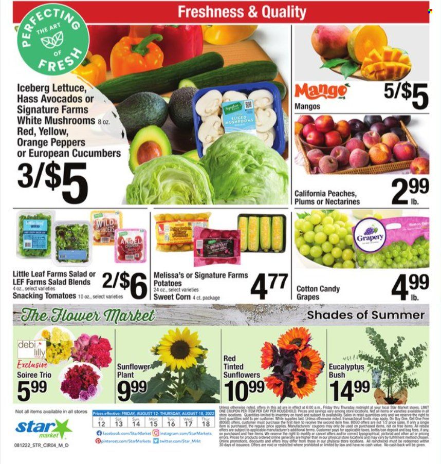 Star Market Weekly Ad Flyer Specials August 12 to August 18, 2022