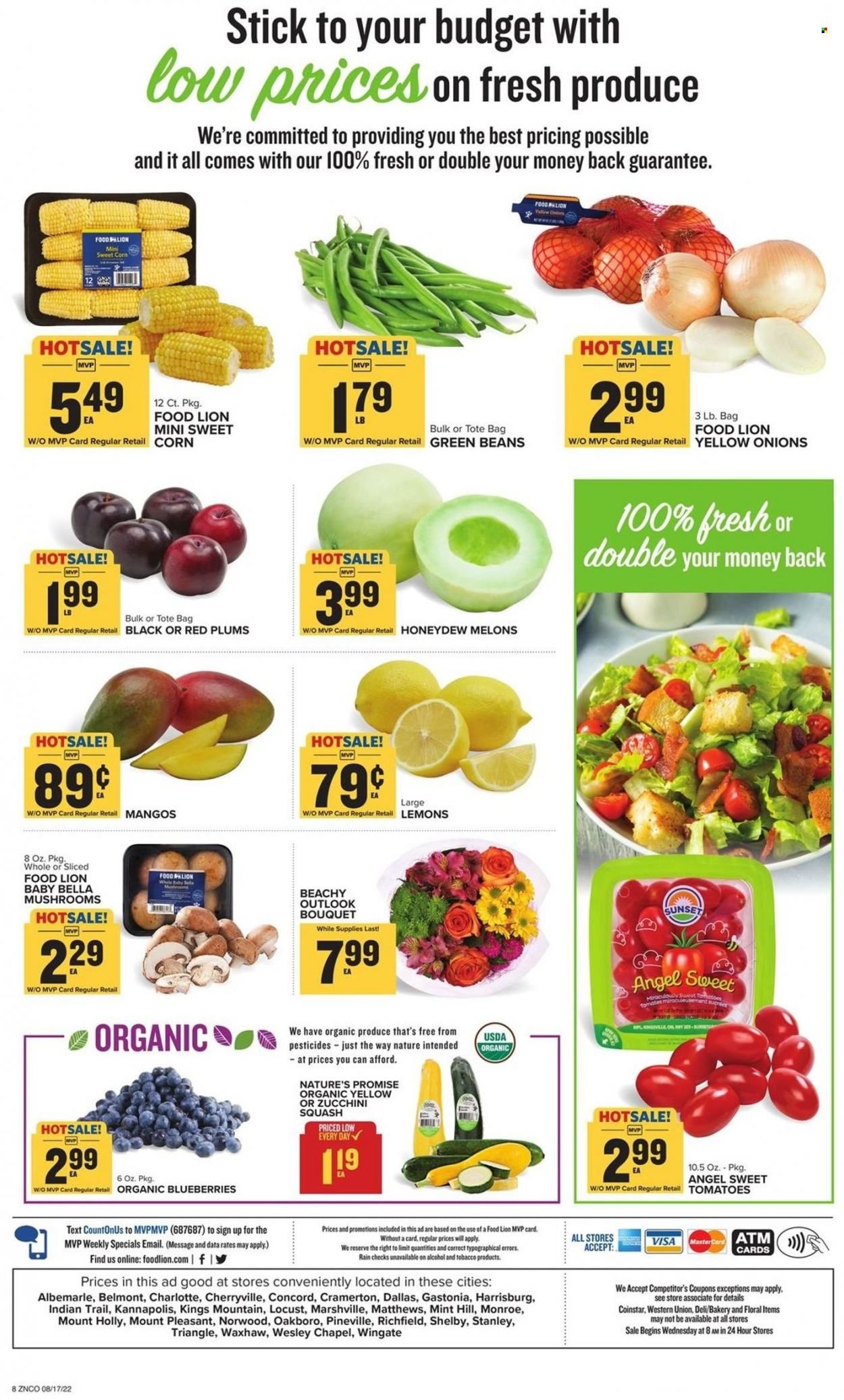 Food Lion (NC) Weekly Ad Flyer Specials August 17 to August 23, 2022