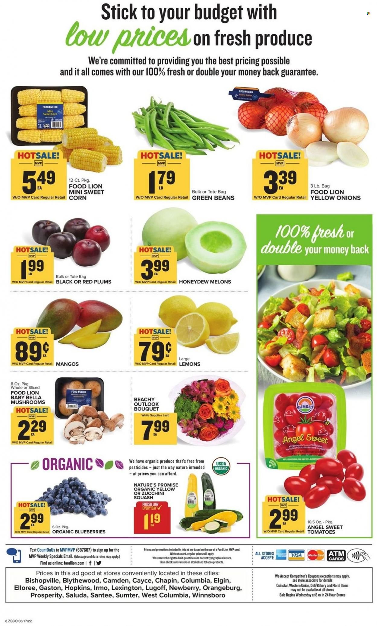 Food Lion (SC) Weekly Ad Flyer Specials August 17 to August 23, 2022
