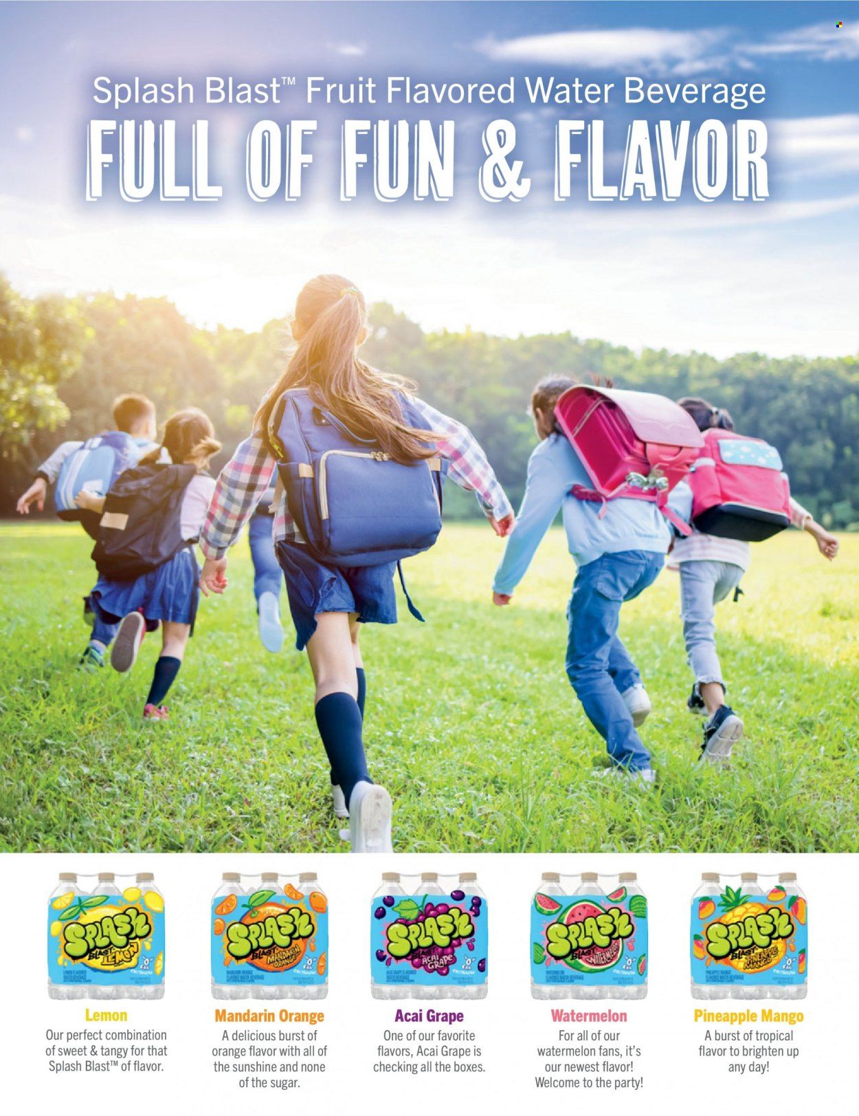 Associated Supermarkets (NY) Promotions & Flyer Specials November 2022