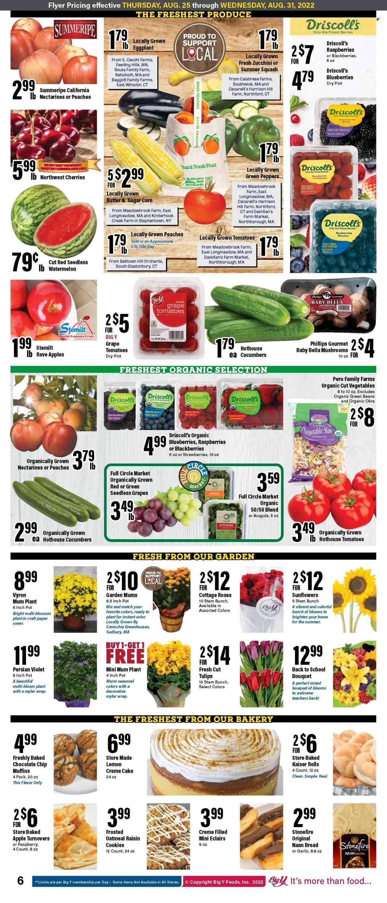 Big Y (CT) Weekly Ad Flyer Specials August 25 to August 31, 2022