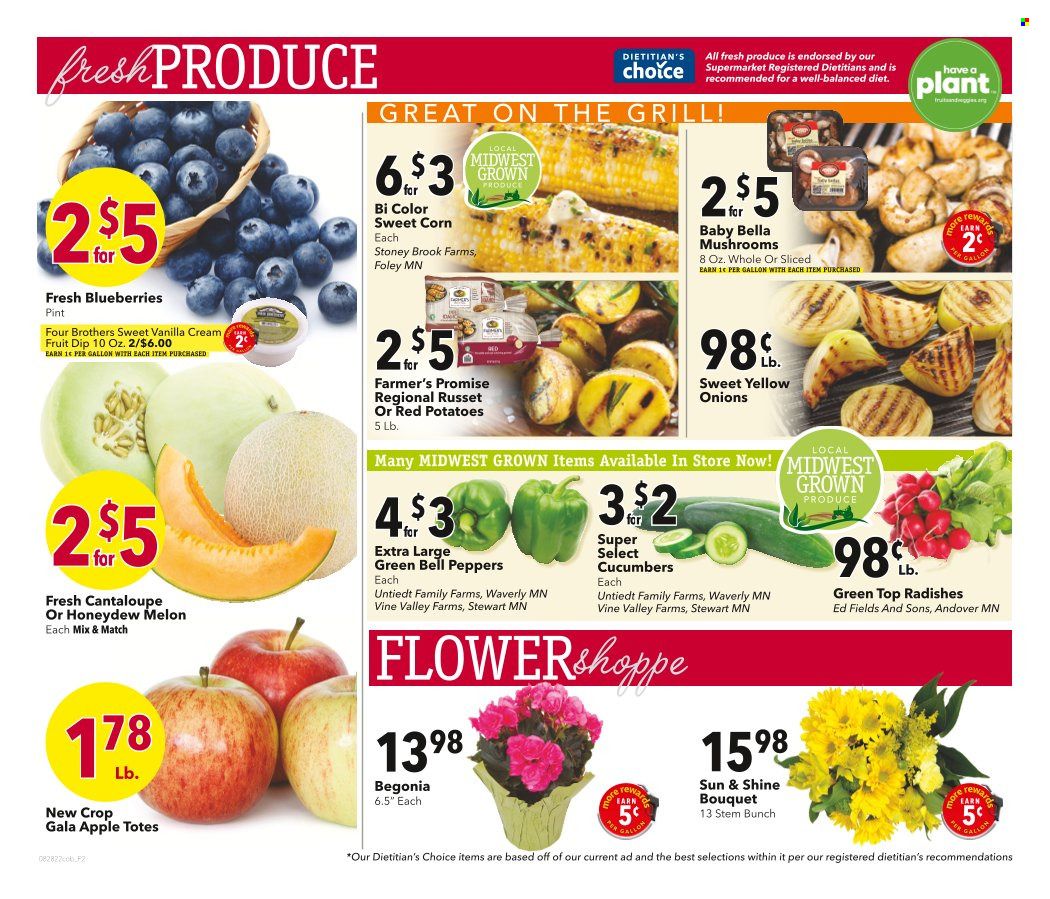 Coborn's (MN, SD) Weekly Ad Flyer Specials August 28 to September 3, 2022