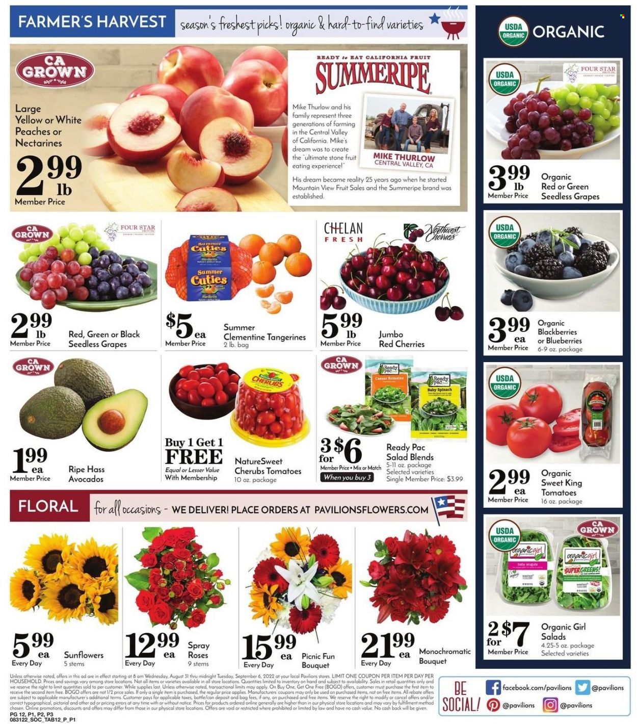 Pavilions (CA) Weekly Ad Flyer Specials August 31 to September 6, 2022