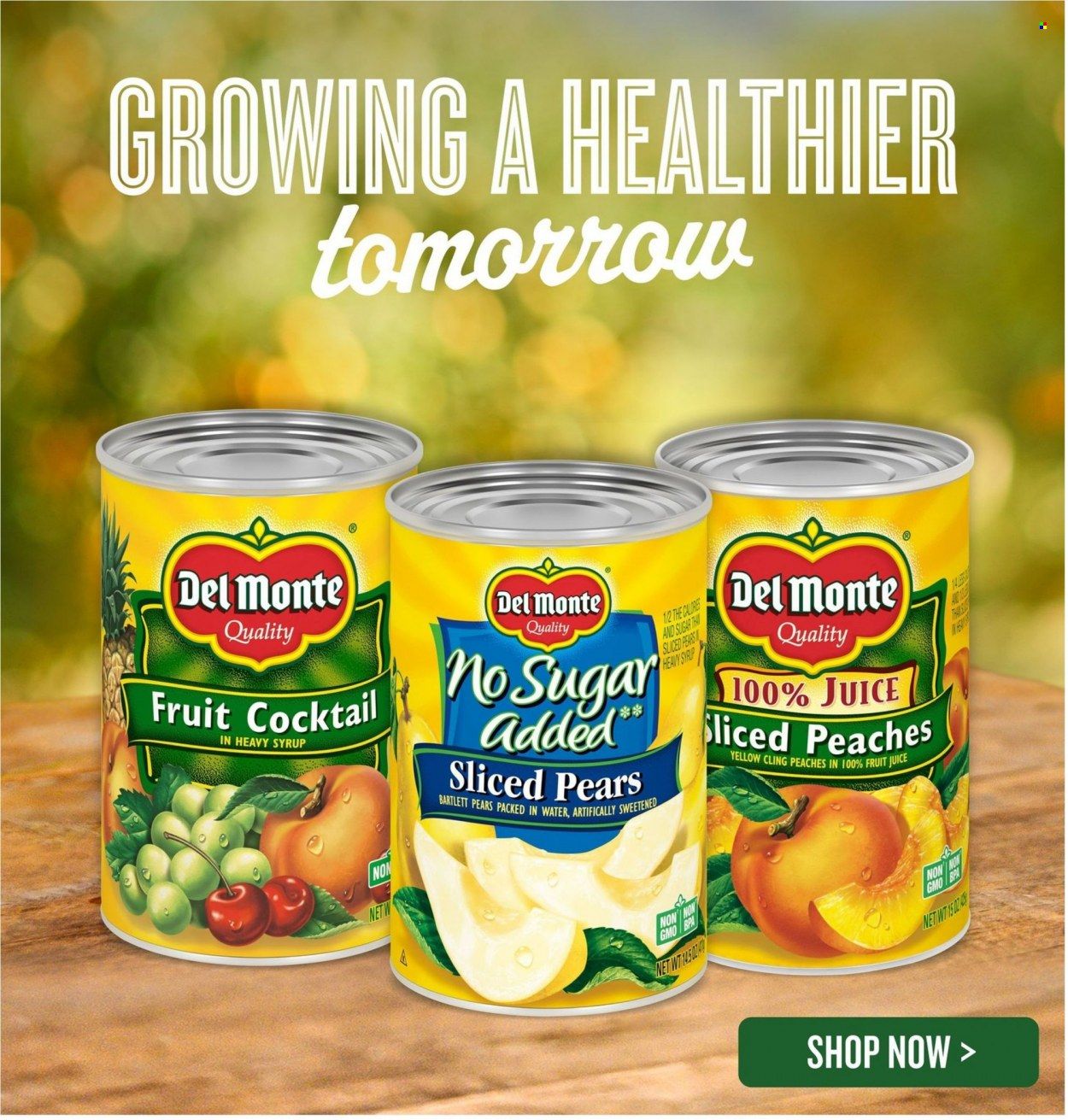 Lowes Foods (NC, SC) Weekly Ad Flyer Specials August 31 to September 6, 2022