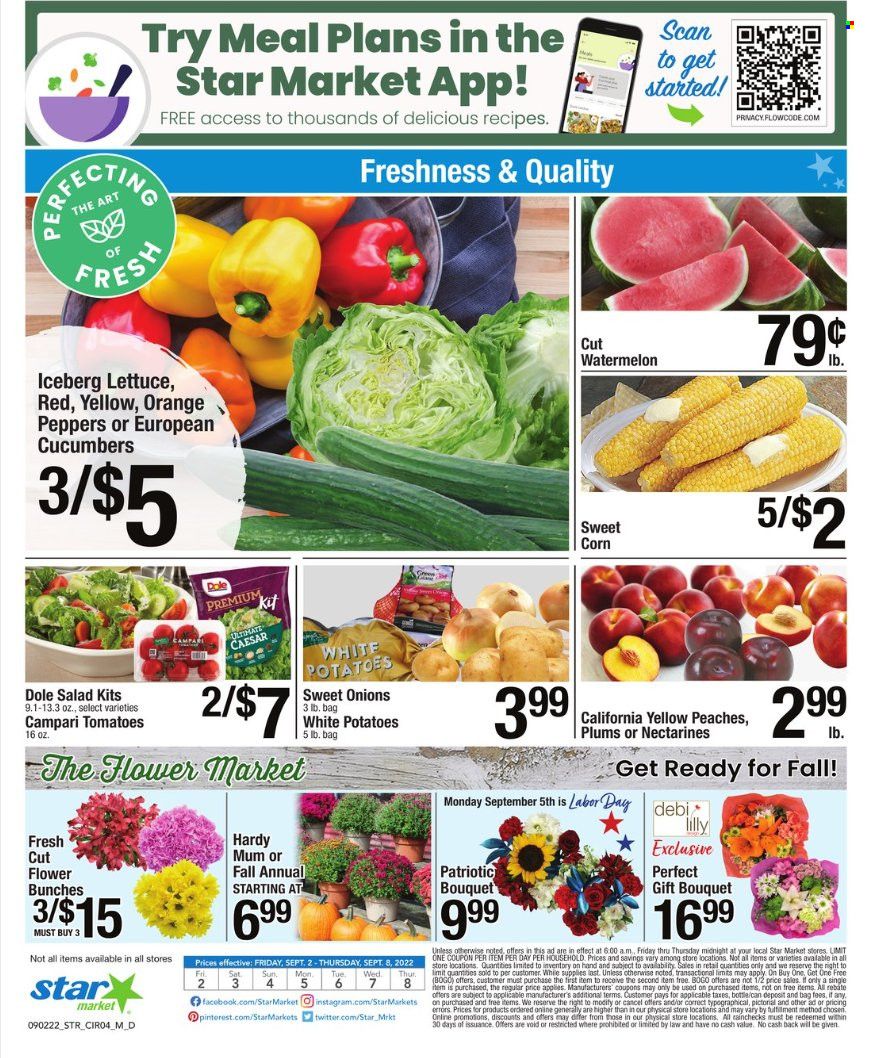 Star Market Weekly Ad Flyer Specials September 2 to September 8, 2022