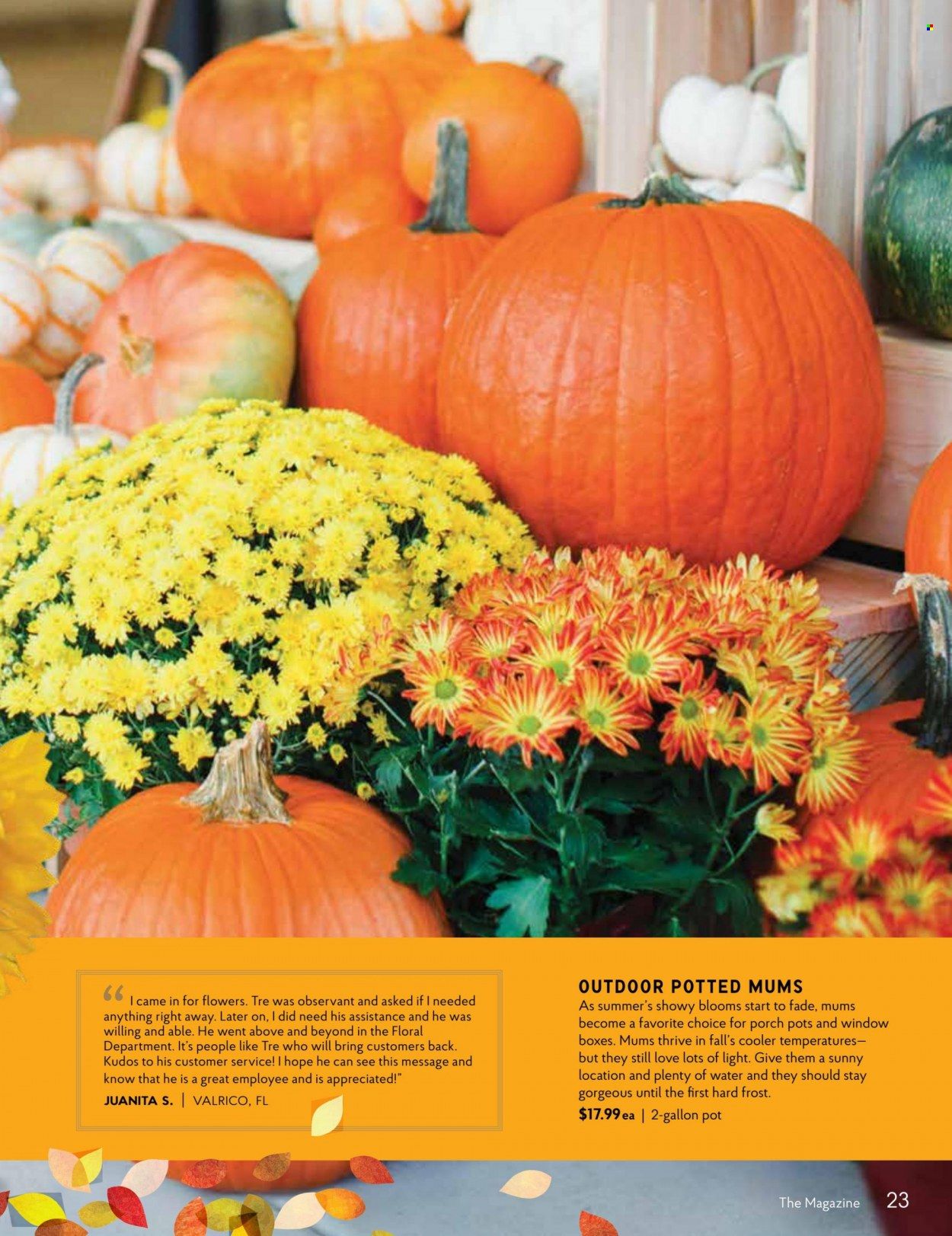 The Fresh Market Weekly Ad Flyer Specials August 31 to October 4, 2022
