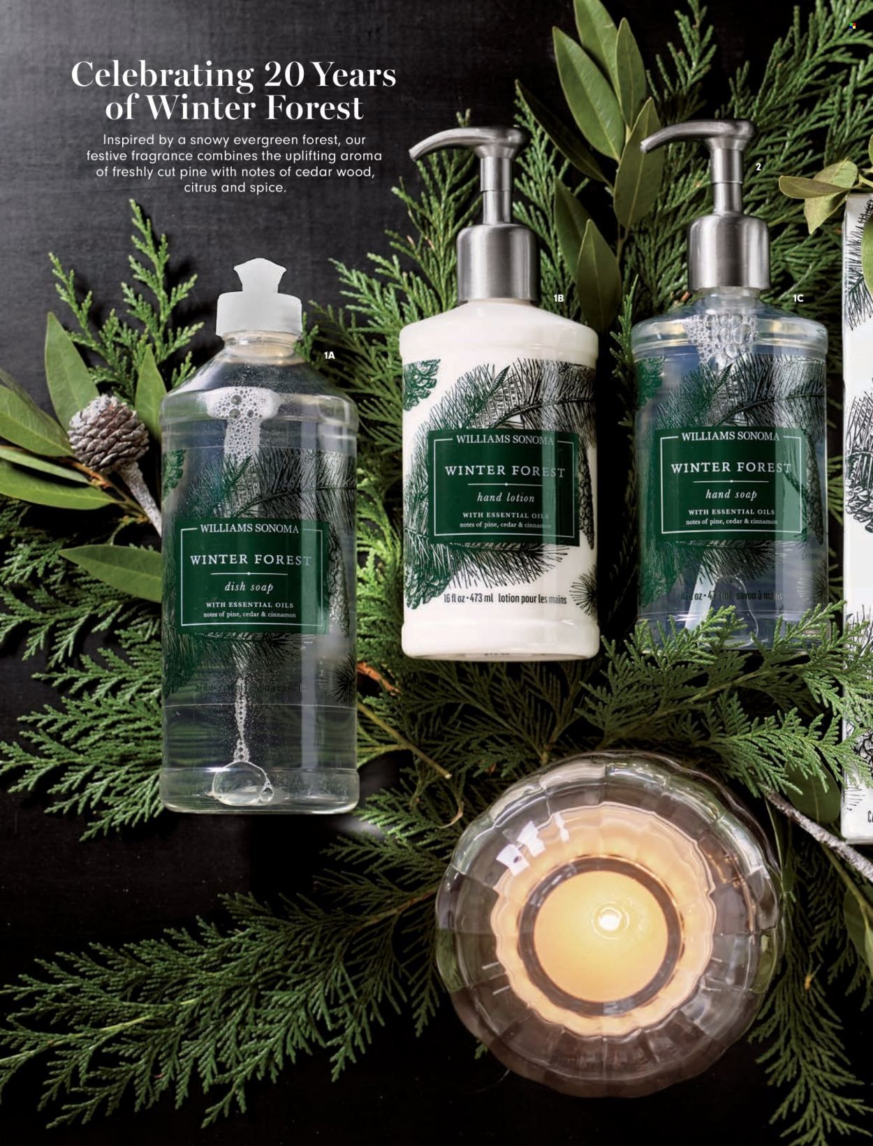 Williams-Sonoma Promotions & Flyer Specials October 2022
