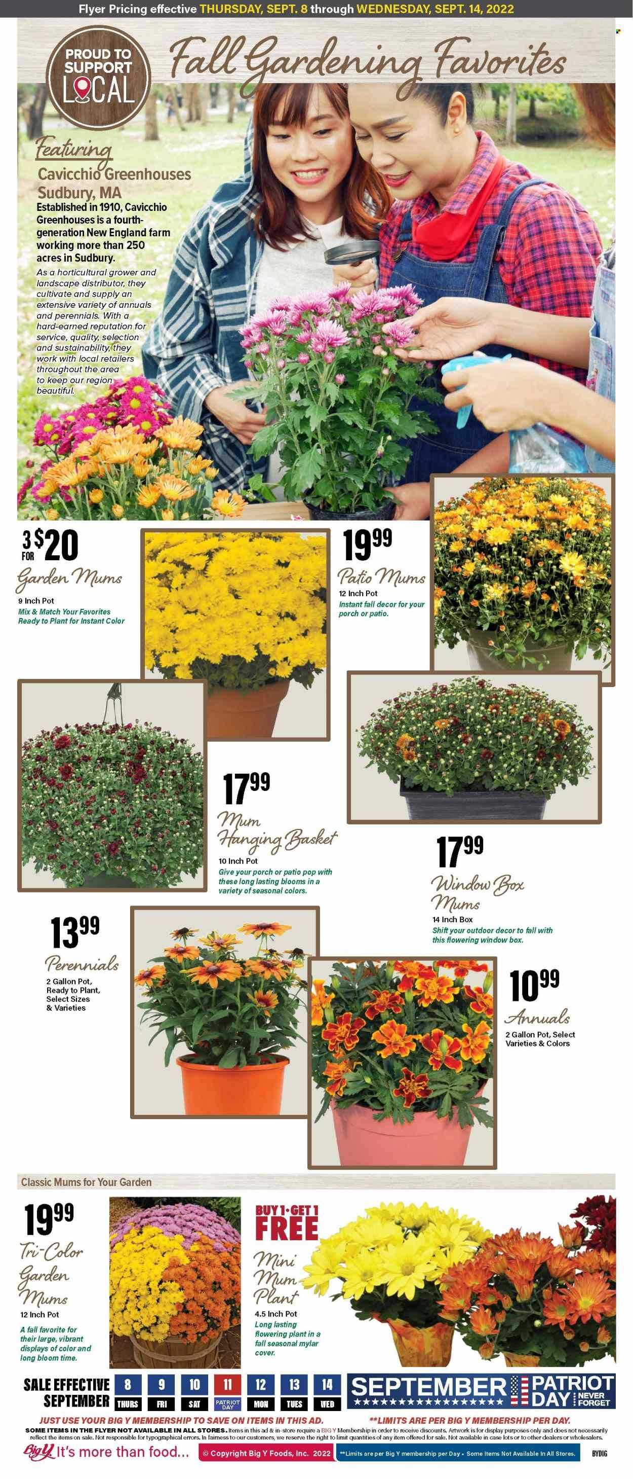 Big Y (CT) Weekly Ad Flyer Specials September 8 to September 14, 2022
