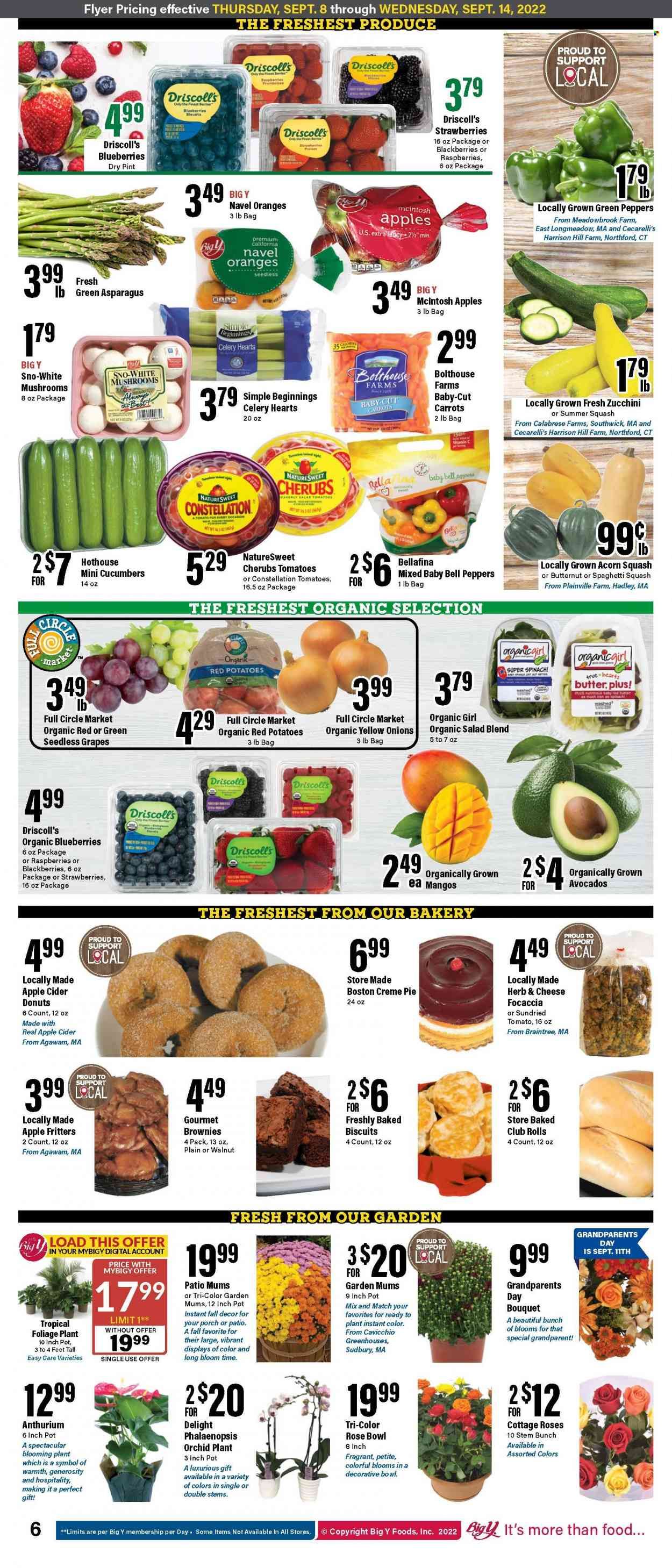 Big Y (MA) Weekly Ad Flyer Specials September 8 to September 14, 2022