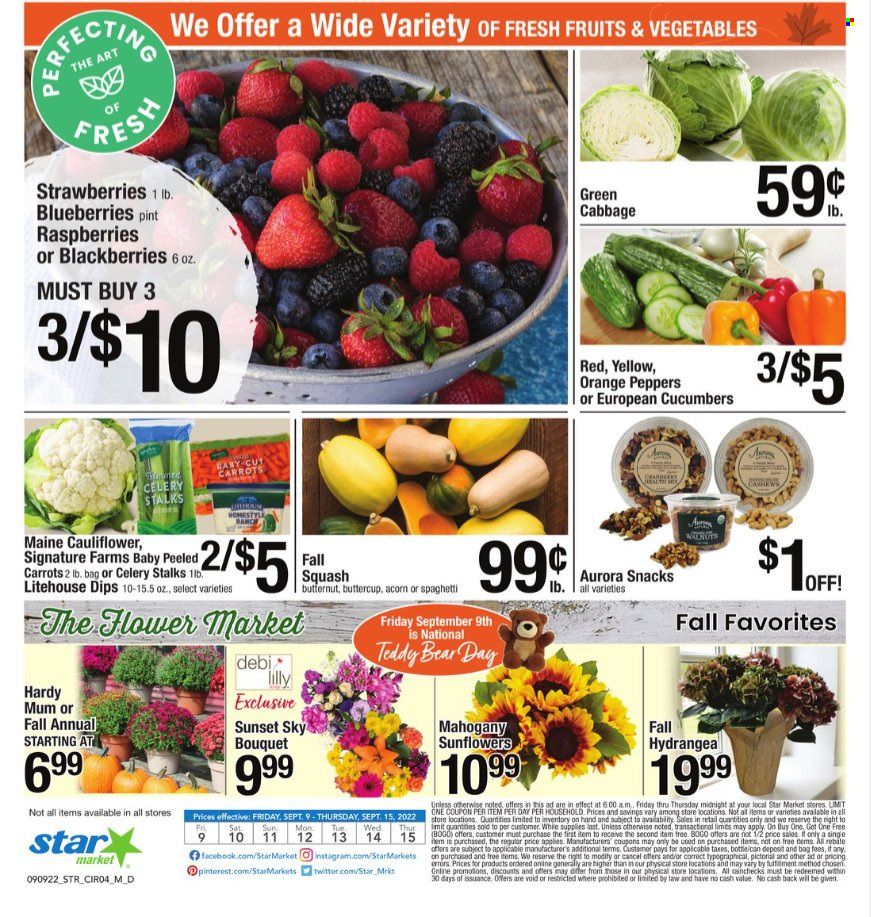 Star Market Weekly Ad Flyer Specials September 9 to September 15, 2022