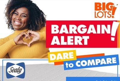 Big Lots Weekly Ad Flyer Specials September 11 to September 17, 2022