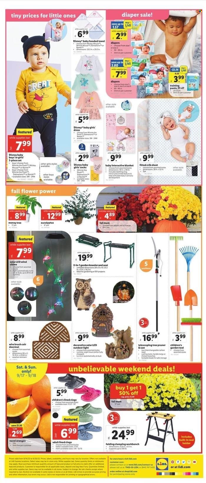 Lidl (GA, MD, NC, NJ, PA, SC, VA) Weekly Ad Flyer Specials September 14 to September 20, 2022