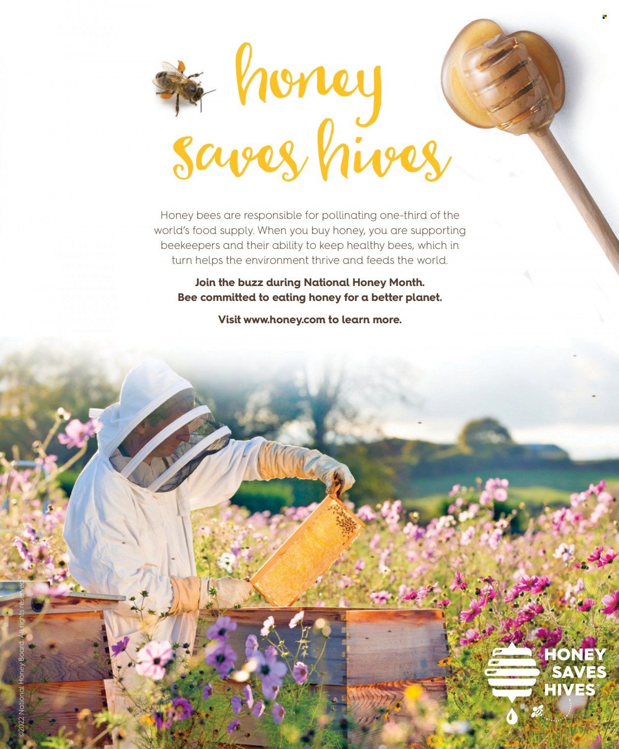 Price Chopper (CT, NY, PA, VT) Promotions & Flyer Specials November 2022