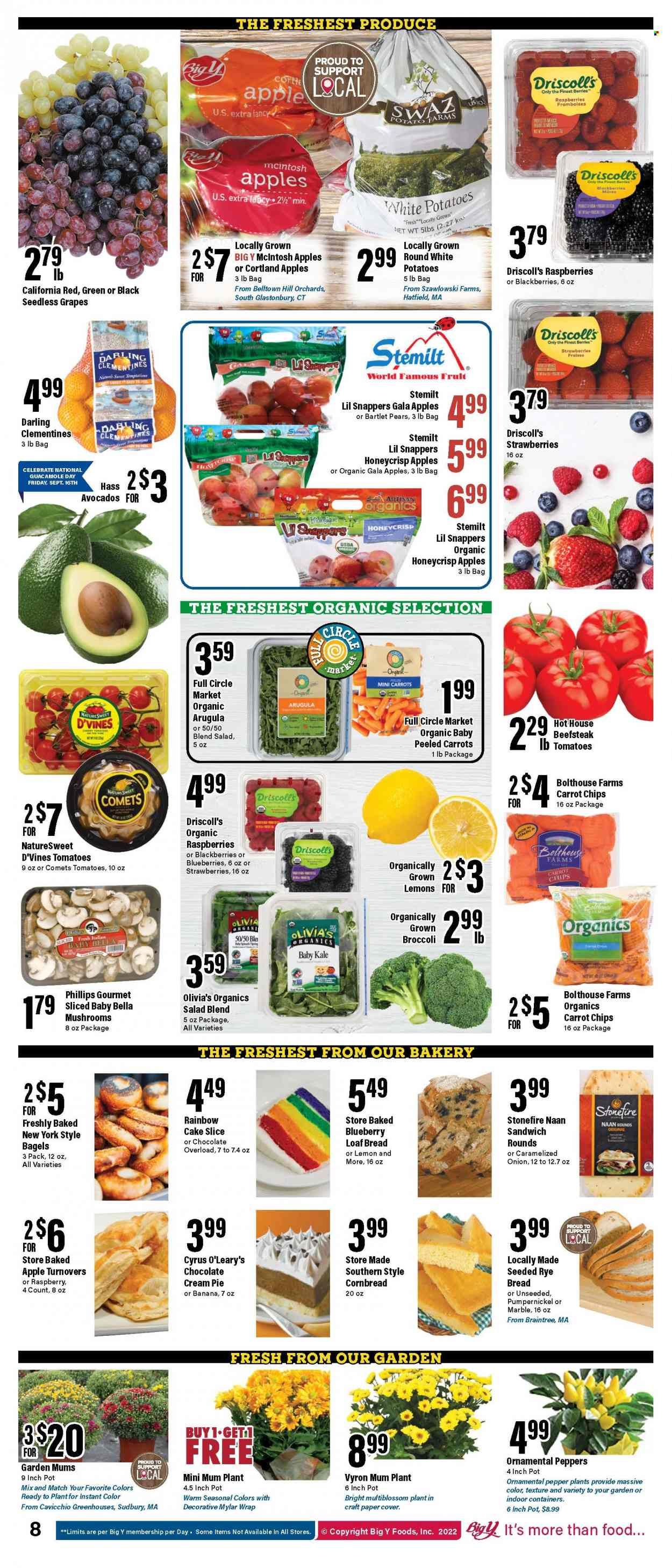 Big Y (MA) Weekly Ad Flyer Specials September 15 to September 21, 2022