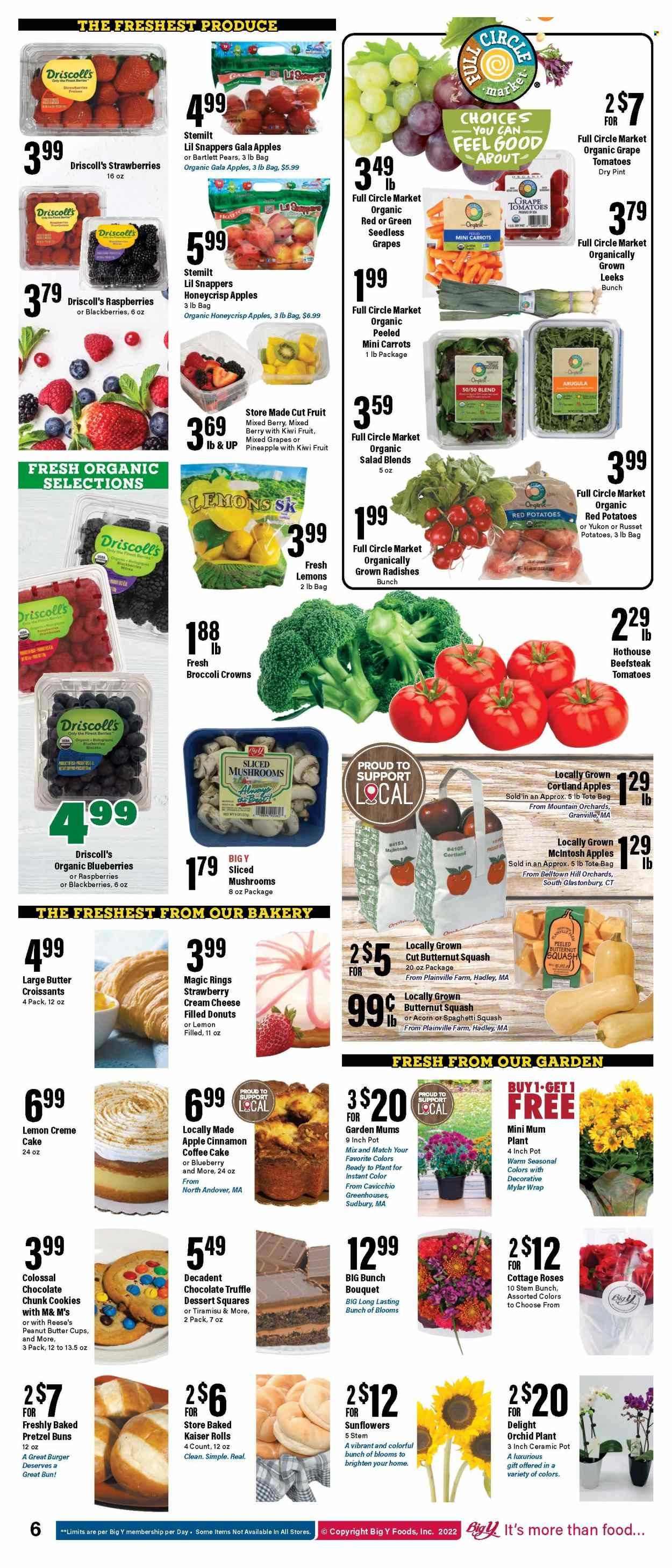 Big Y (CT, MA) Weekly Ad Flyer Specials September 22 to September 28, 2022