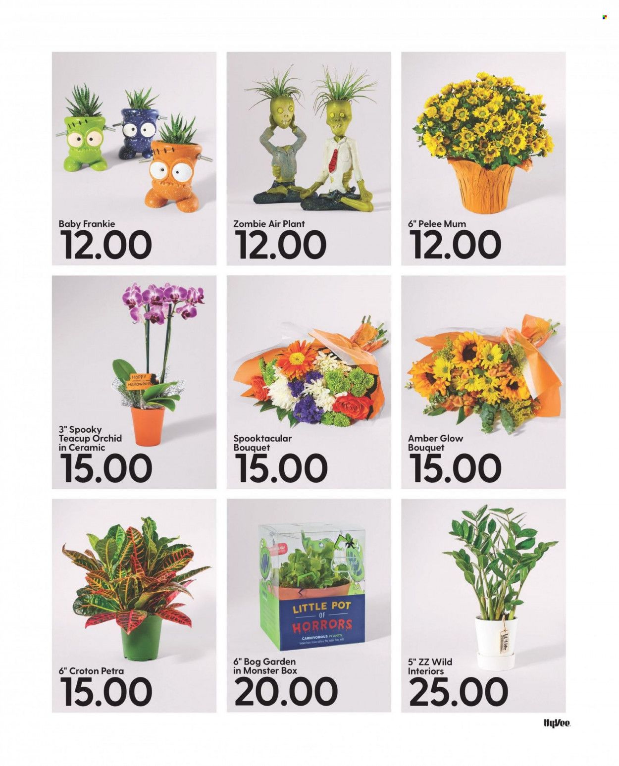 Hy-Vee (IA, IL, MN, MO, SD) Weekly Ad Flyer Specials October 1 to October 31, 2022