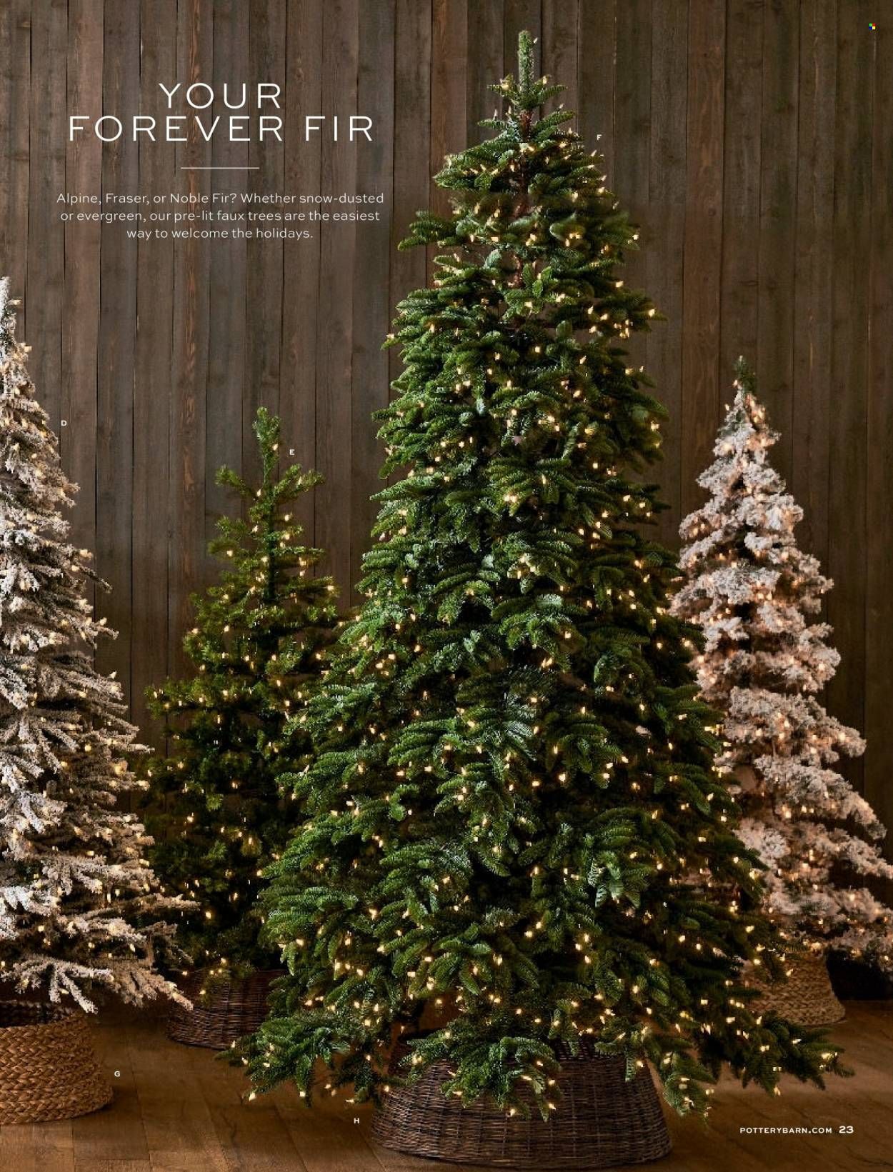 Pottery Barn Promotions & Flyer Specials December 2022