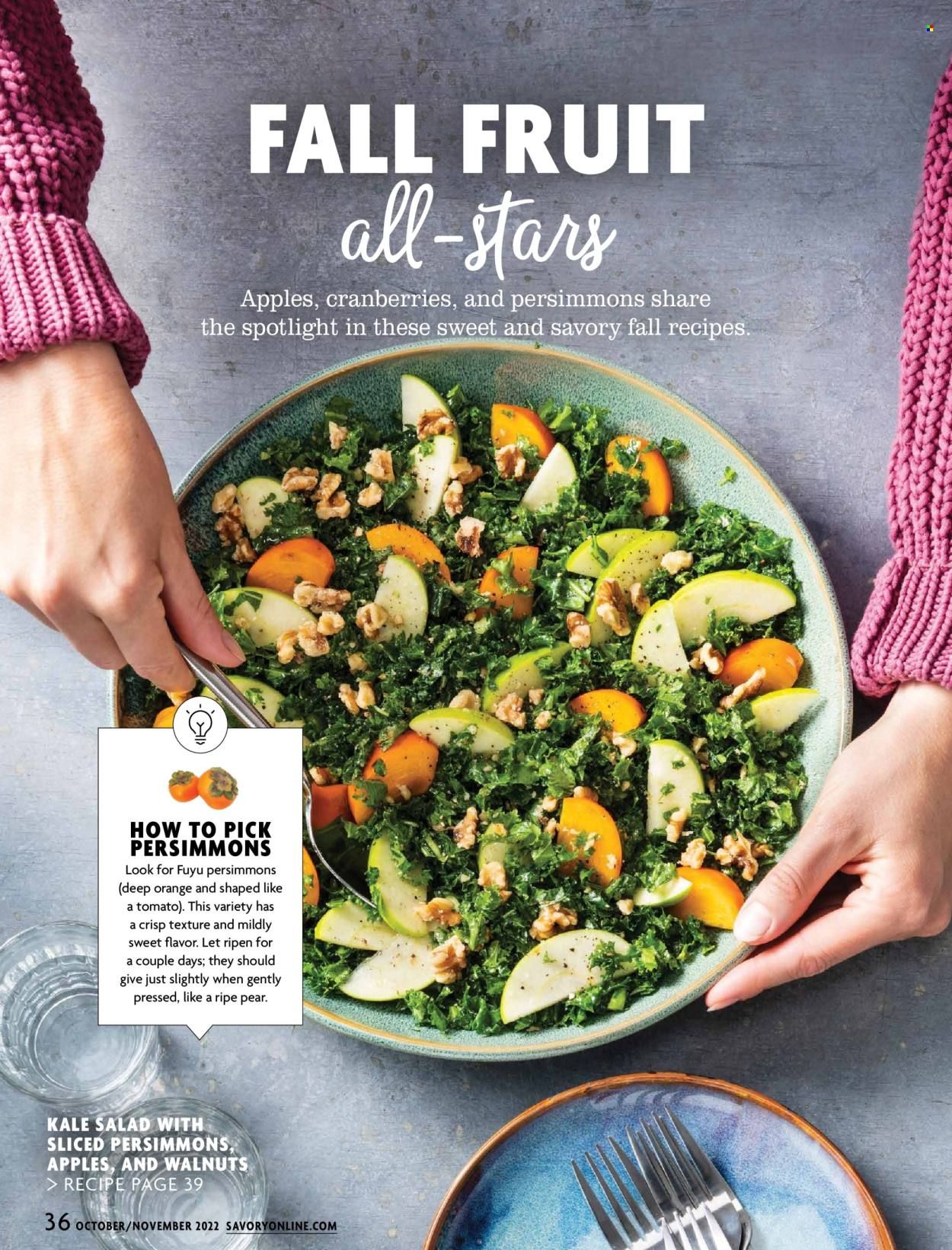 Giant Food (DE, MD, VA) Weekly Ad Flyer Specials October 1 to November 30, 2022