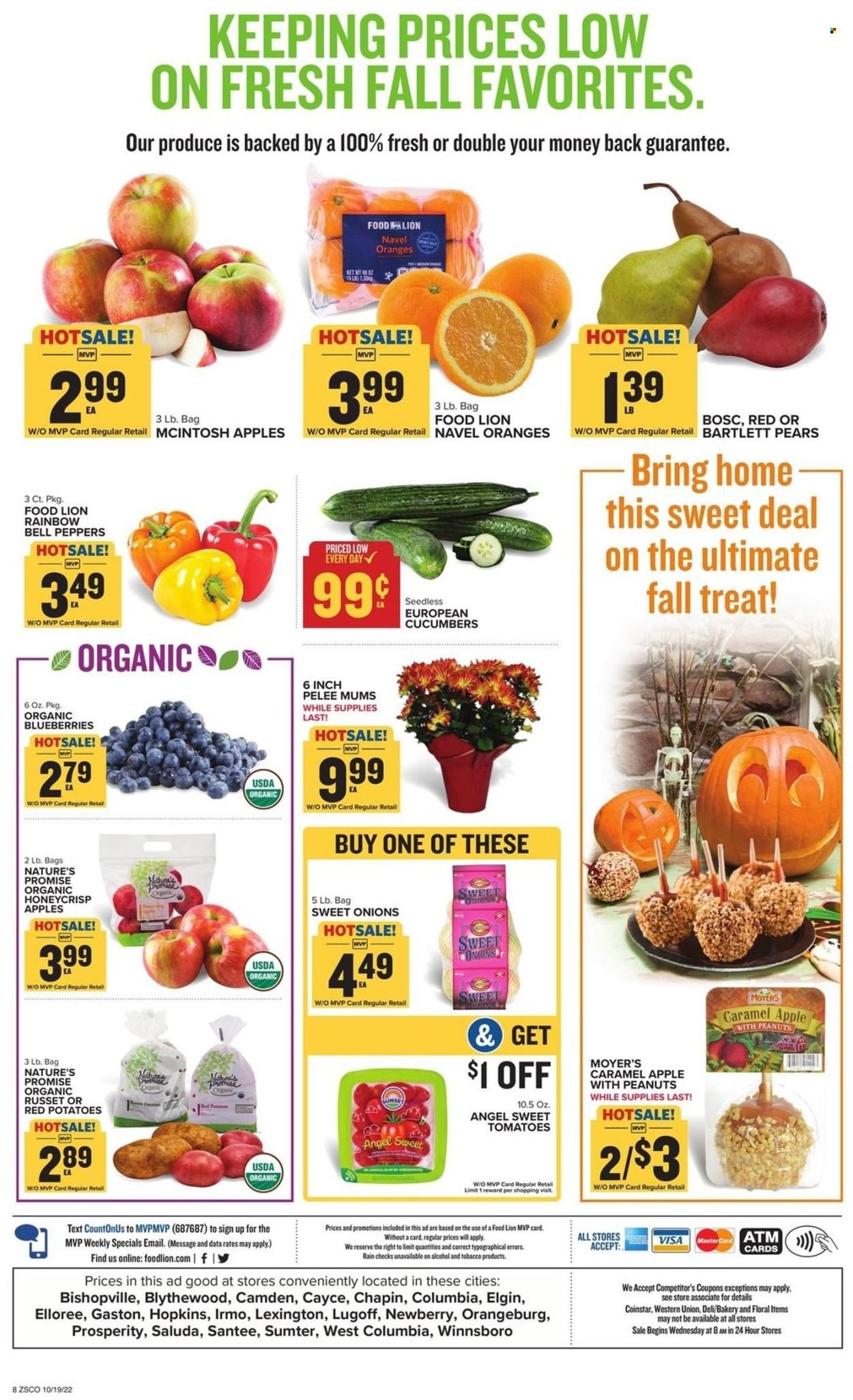 Food Lion (SC) Weekly Ad Flyer Specials October 19 to October 25, 2022
