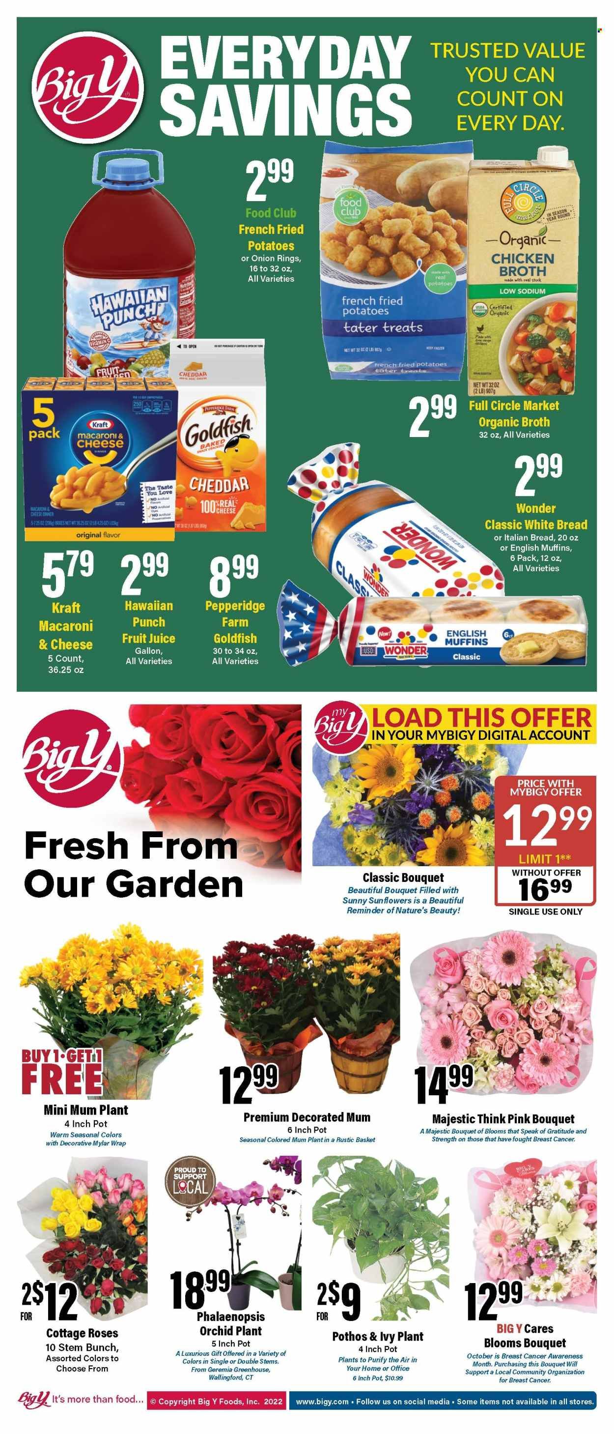 Big Y (CT) Weekly Ad Flyer Specials October 20 to October 26, 2022
