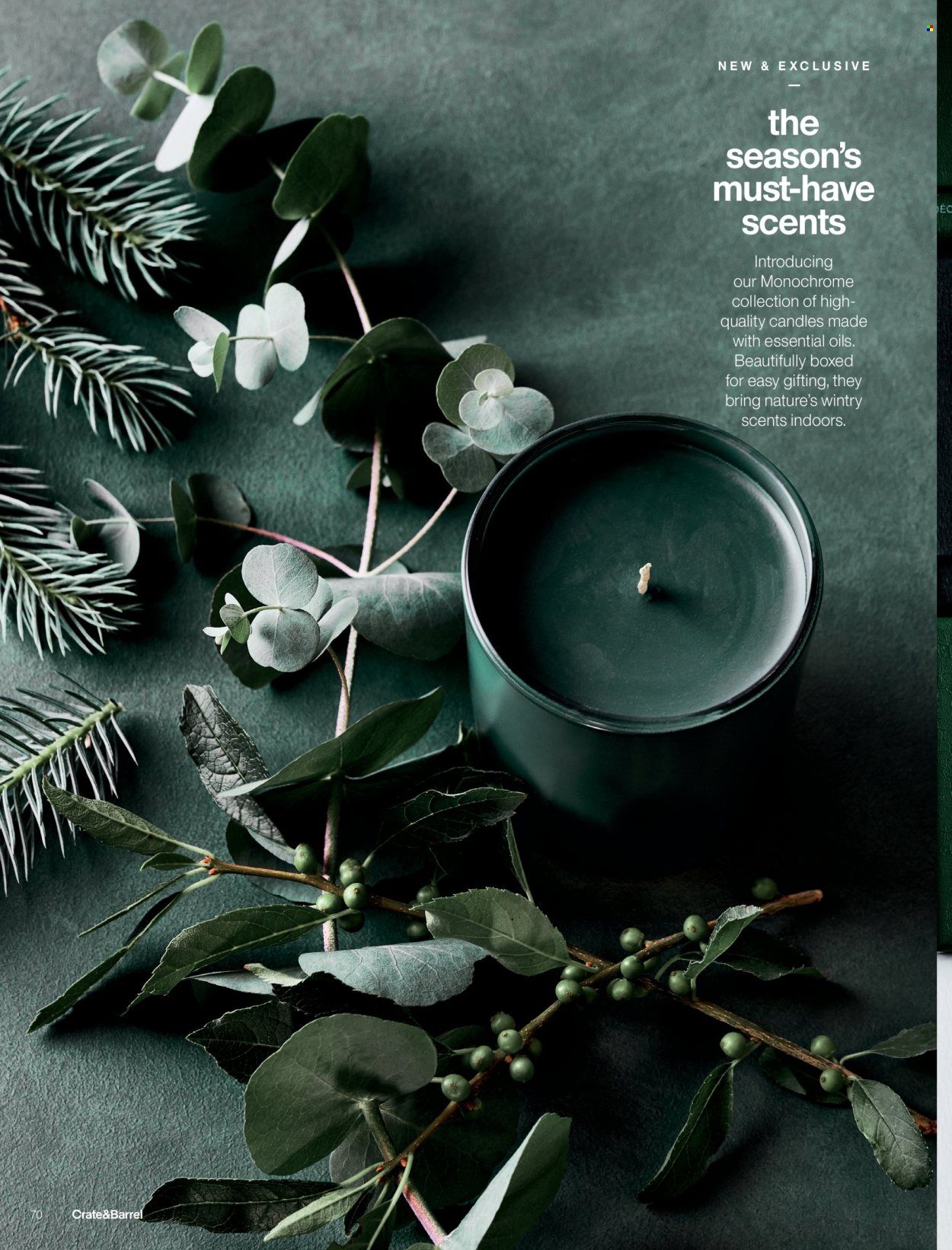 Crate & Barrel Promotions & Flyer Specials January 2023