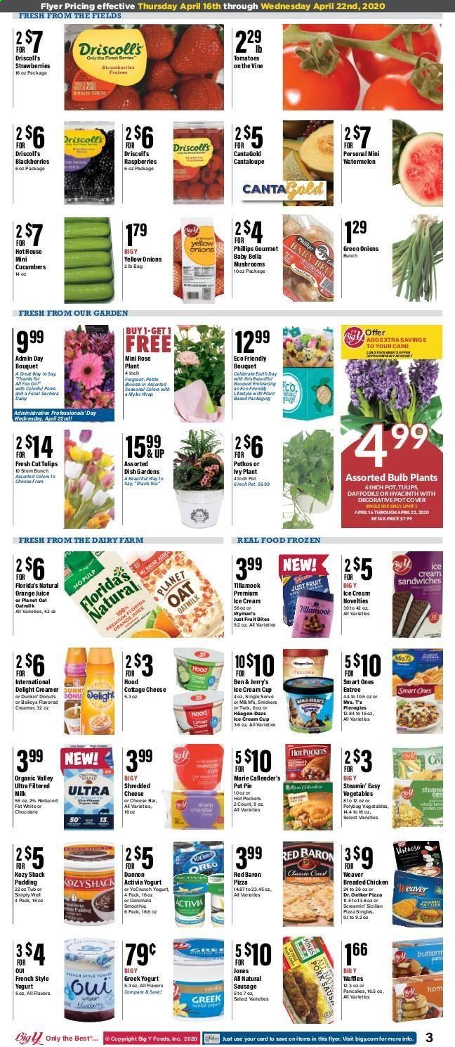 Big Y Weekly Ad & Flyer April 16 to 22