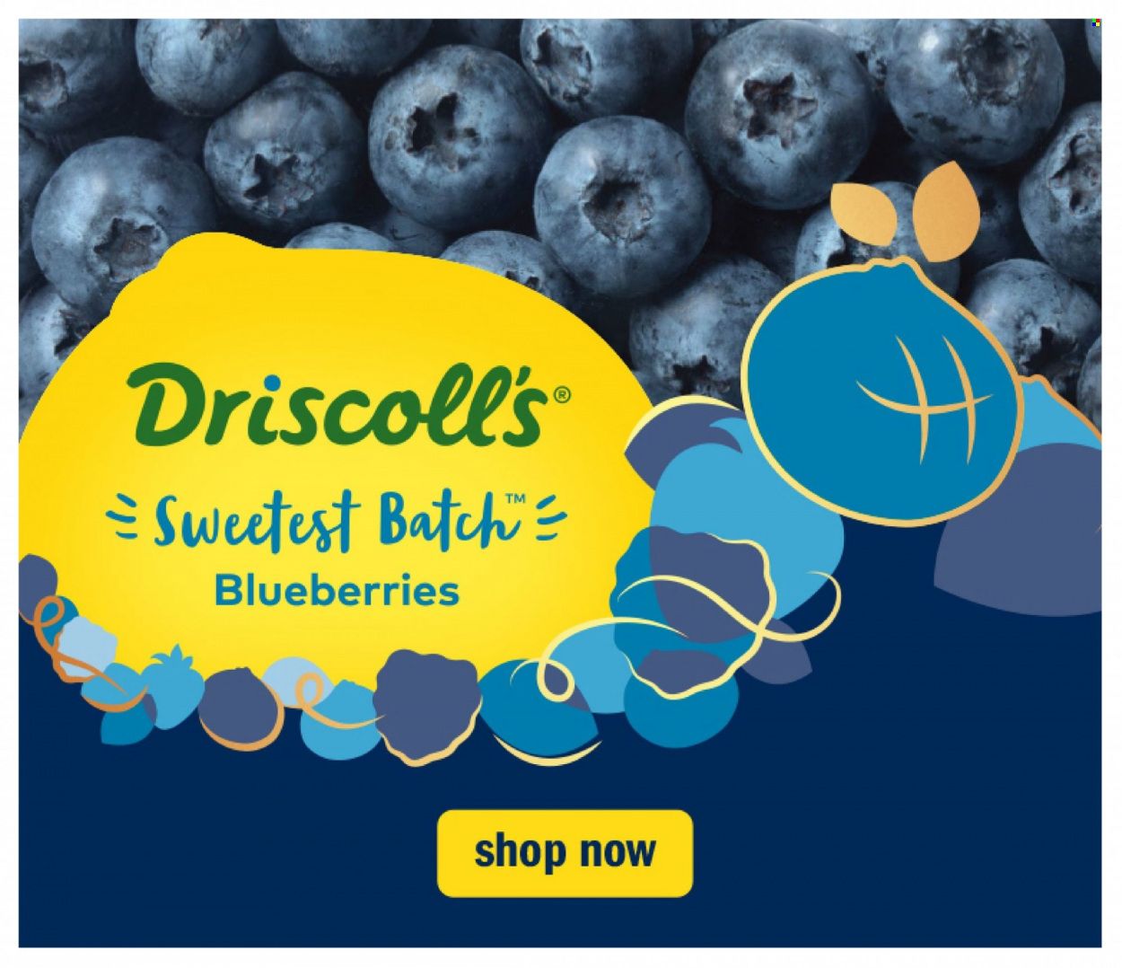 Meijer (IL, IN, KY, MI, OH, WI) Weekly Ad Flyer Specials October 31 to November 12, 2022