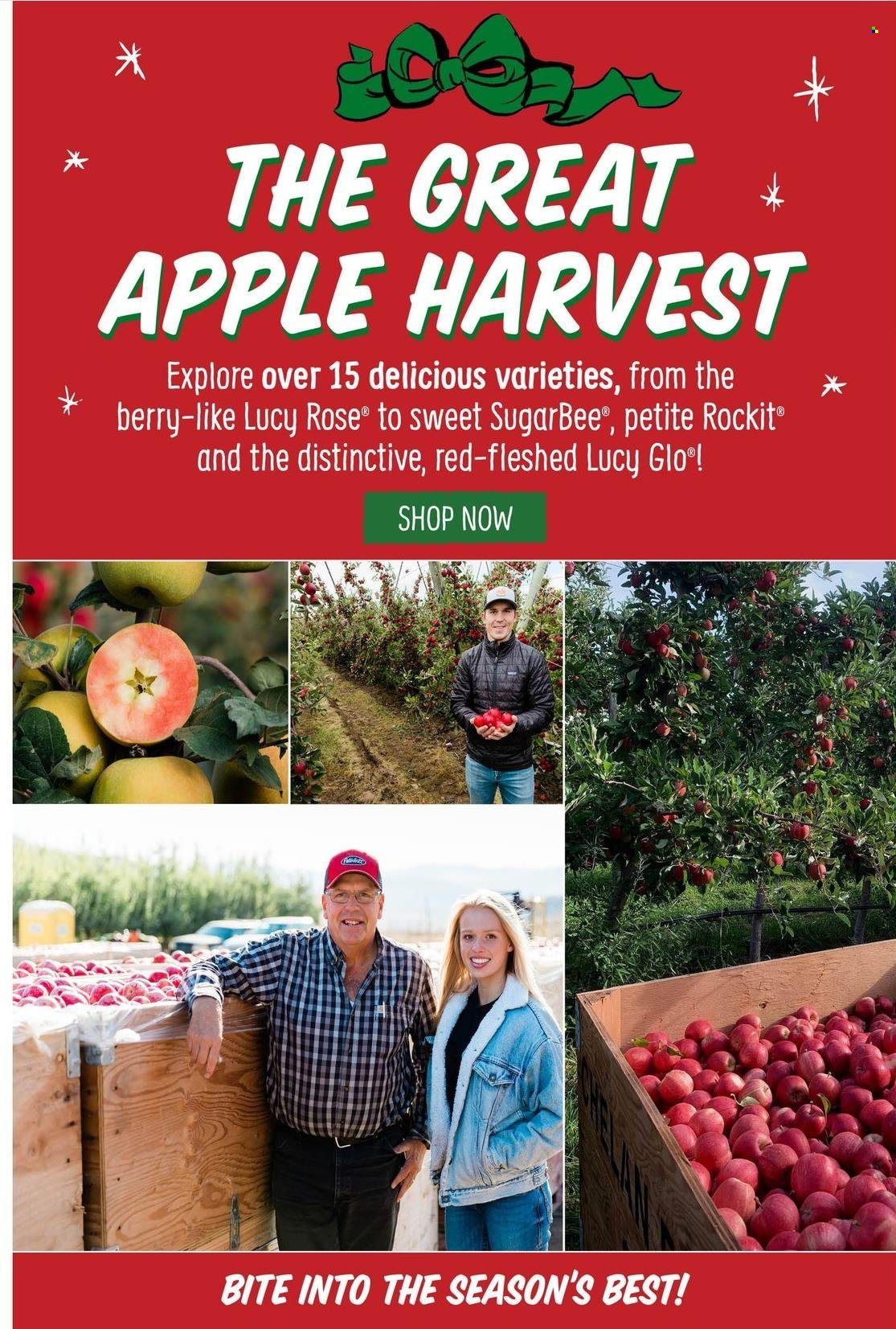Sprouts Weekly Ad Flyer Specials November 2 to November 8, 2022
