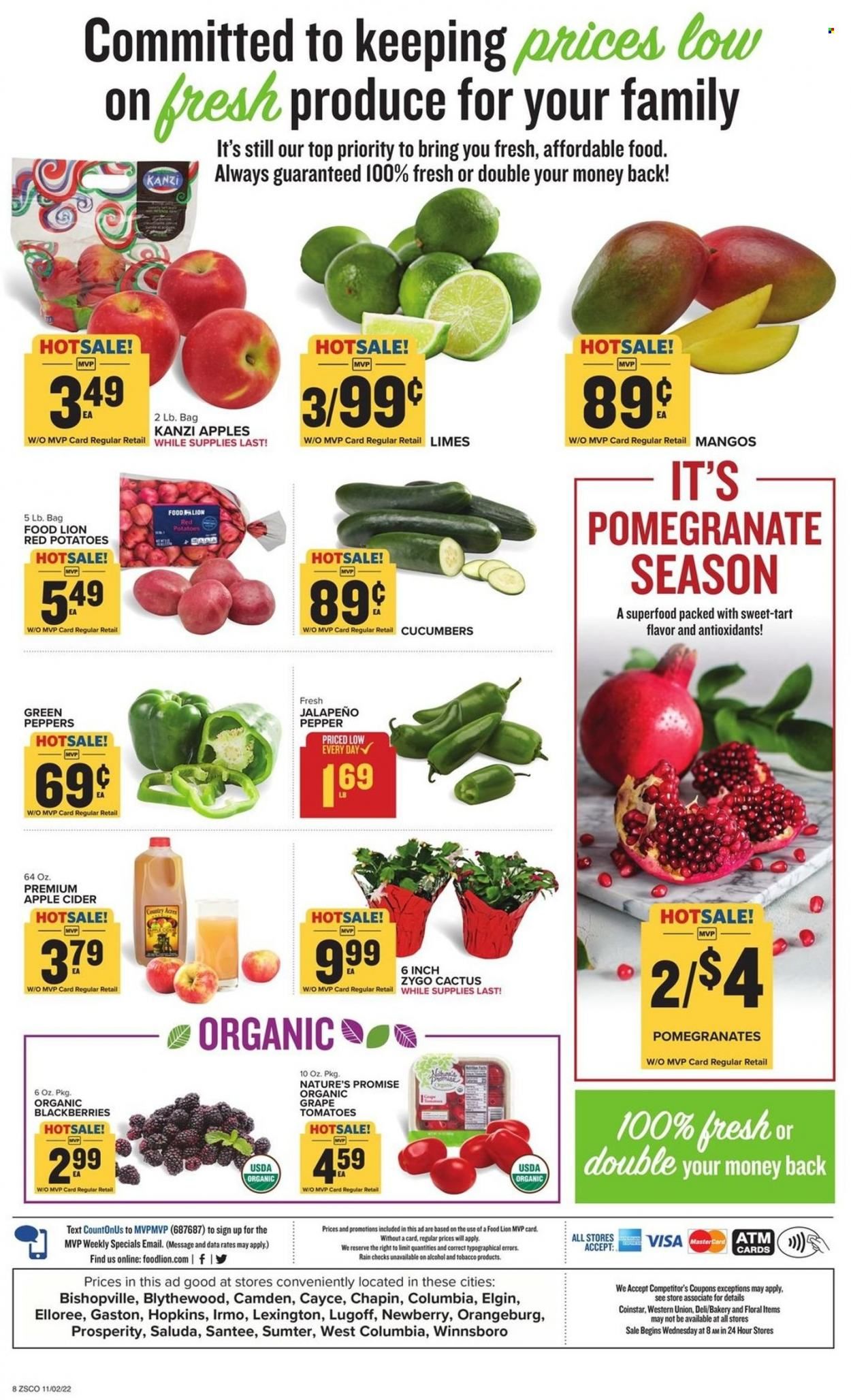 Food Lion (SC) Weekly Ad Flyer Specials November 2 to November 8, 2022