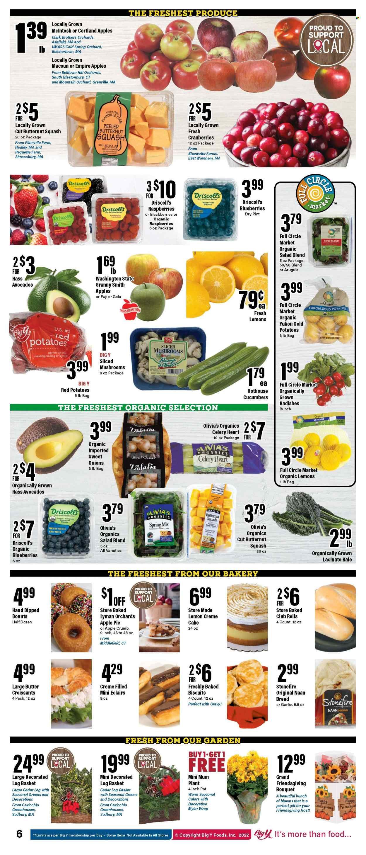 Big Y (CT) Weekly Ad Flyer Specials November 10 to November 16, 2022