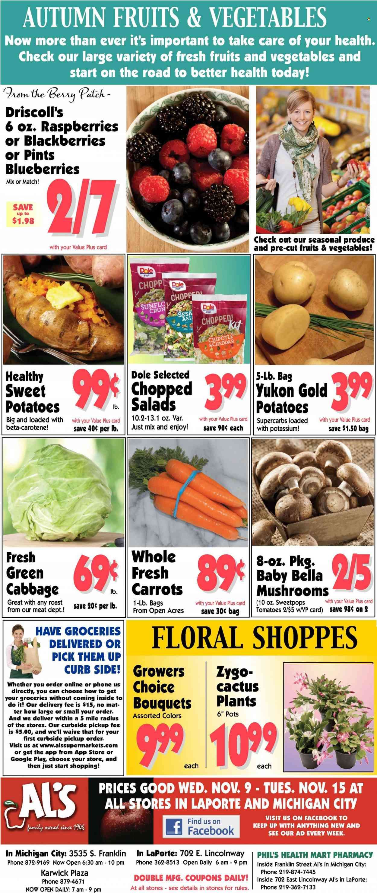 Strack & Van Til Weekly Ad Flyer Specials November 9 to November 15, 2022