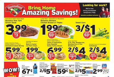 Hannaford Weekly Ad & Flyer April 19 to 25